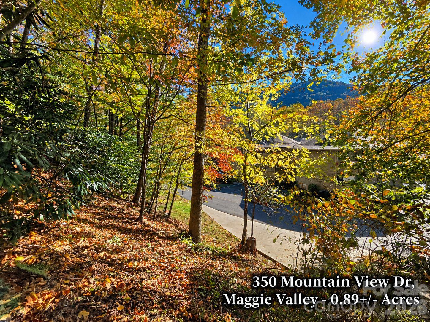 Lot at 350 Mountain View Drive, Maggie Valley, photo 19 of 21