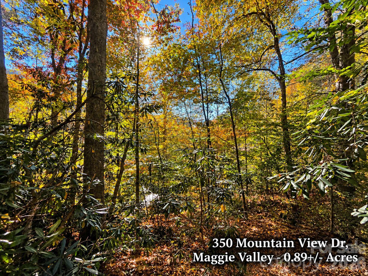 Lot at 350 Mountain View Drive, Maggie Valley, photo 20 of 21
