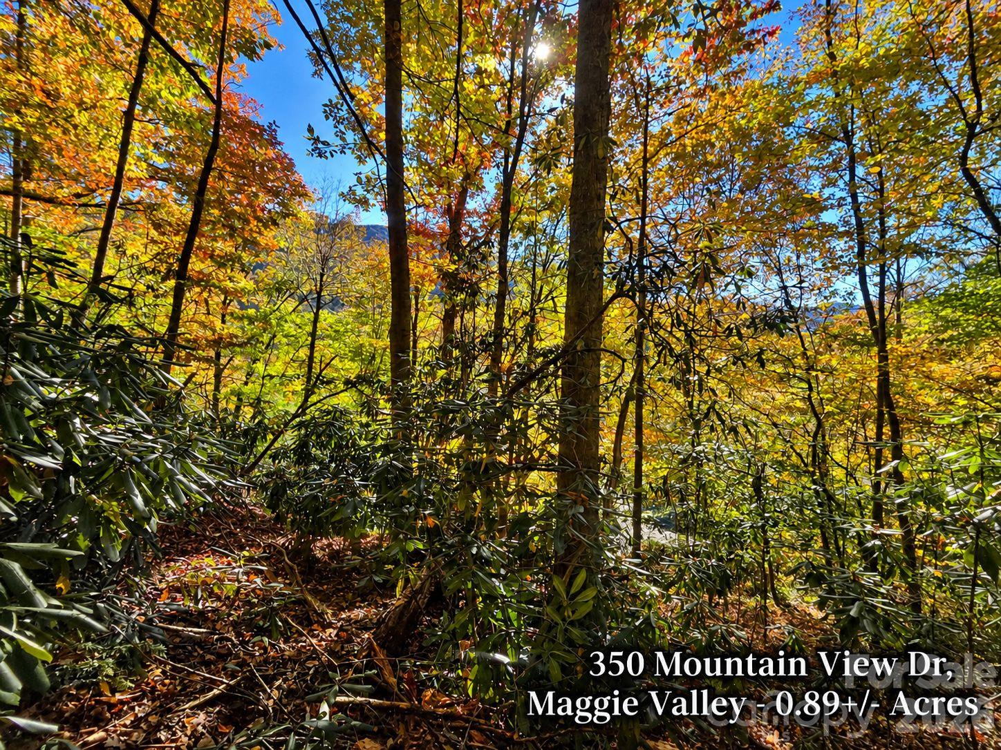 Lot at 350 Mountain View Drive, Maggie Valley, photo 21 of 21