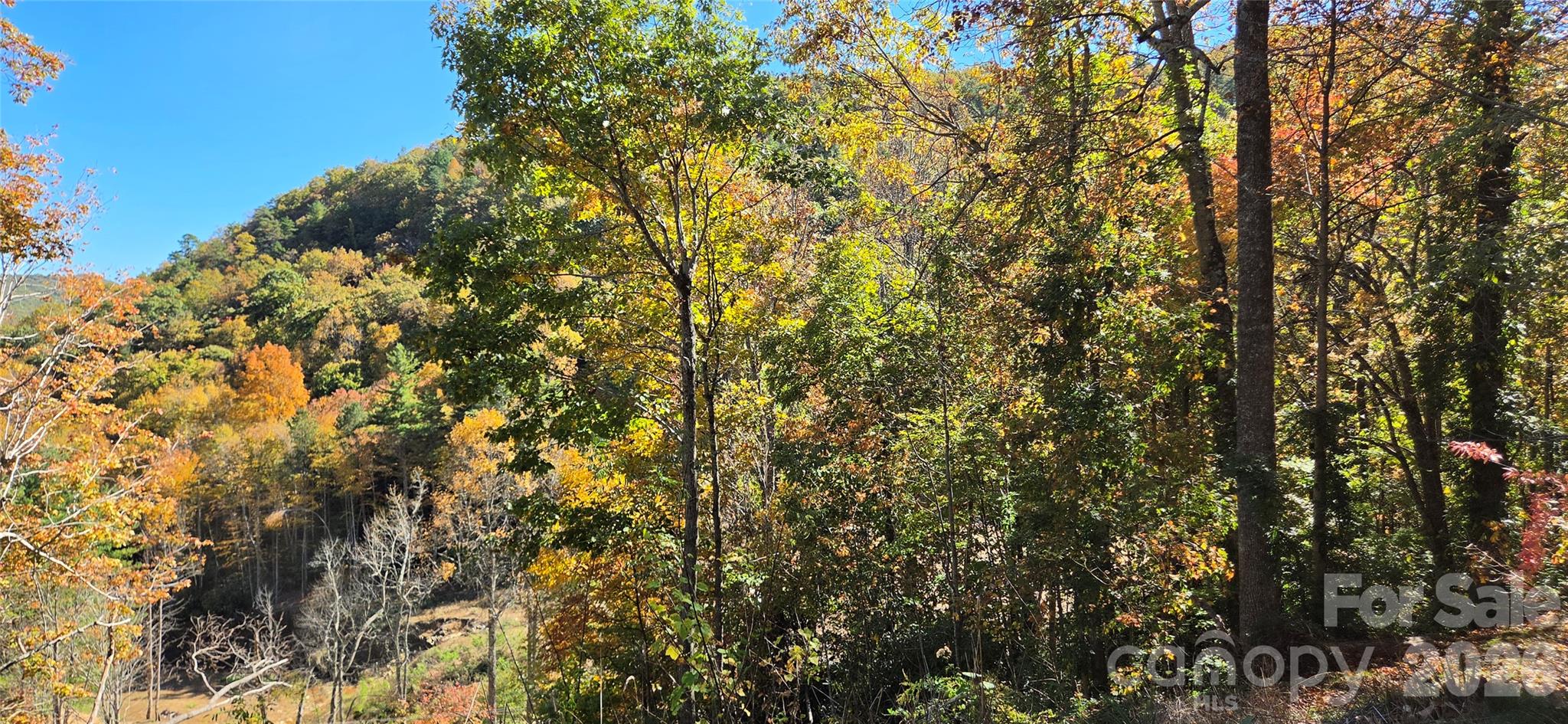 Acreage at 23 Craig Circle, Fairview, photo 7 of 13