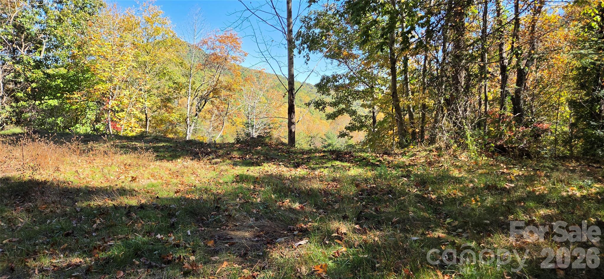 Acreage at 23 Craig Circle, Fairview, photo 9 of 13