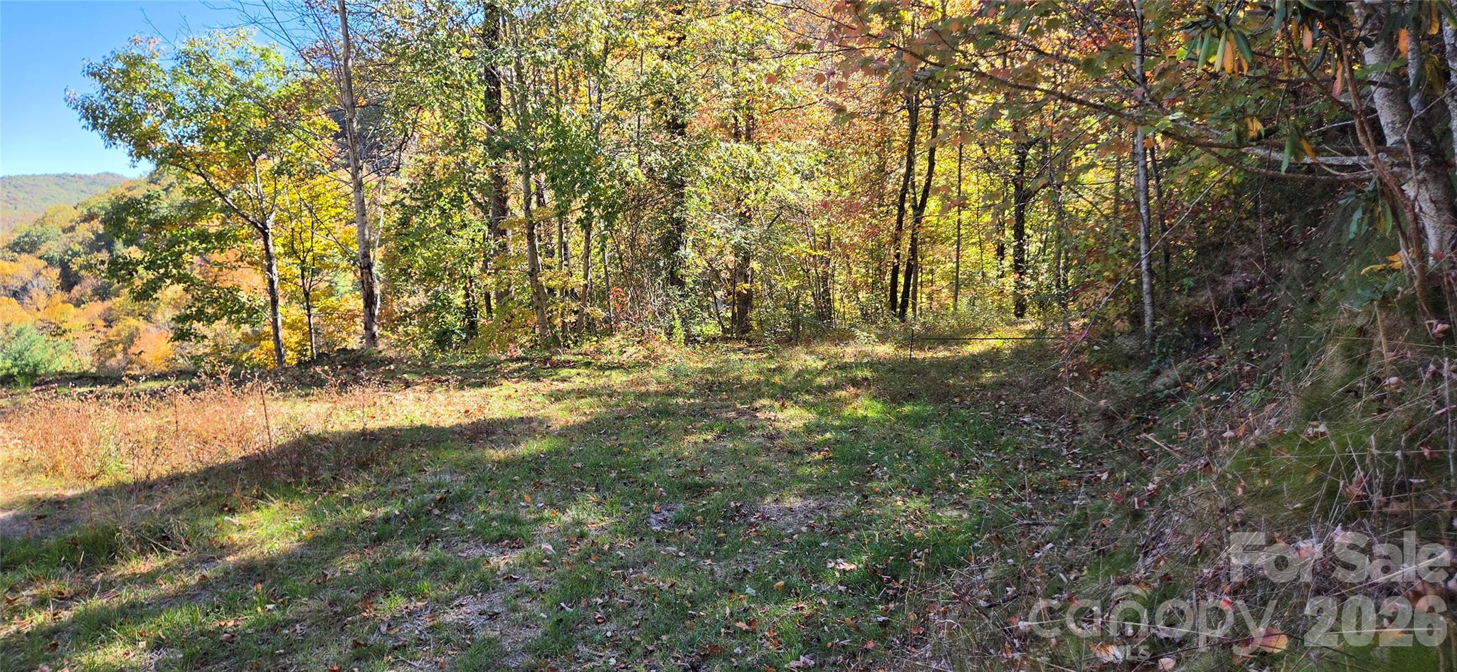 Acreage at 23 Craig Circle, Fairview, photo 12 of 13