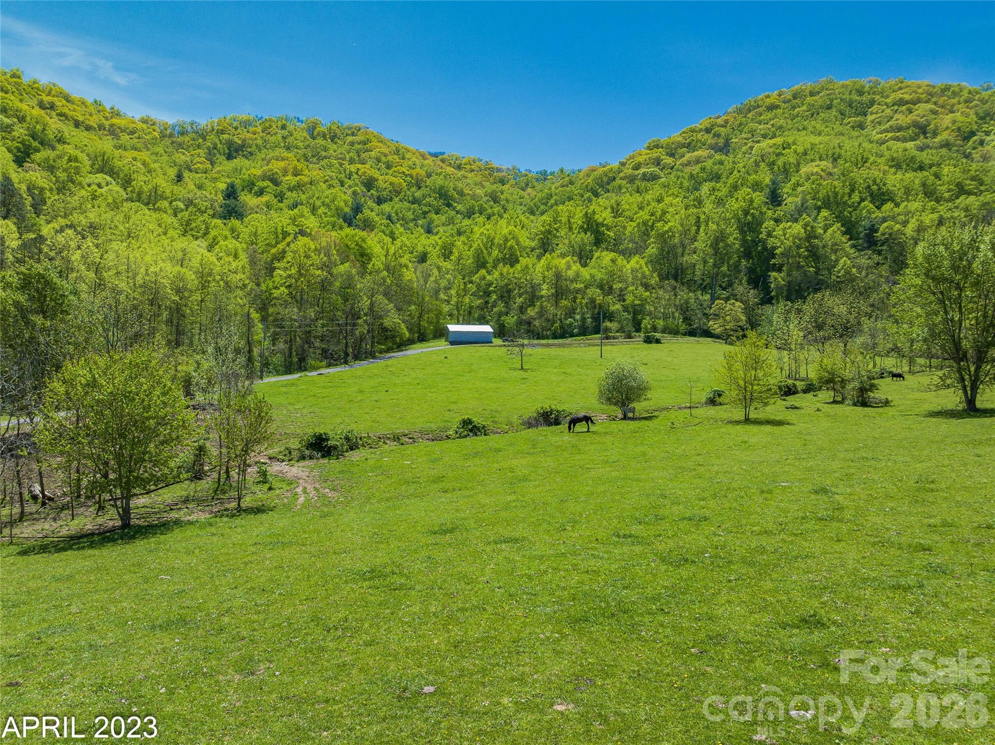 Bring your horses, farm animals or family to enjoy - 41 Lovin Road, Weaverville