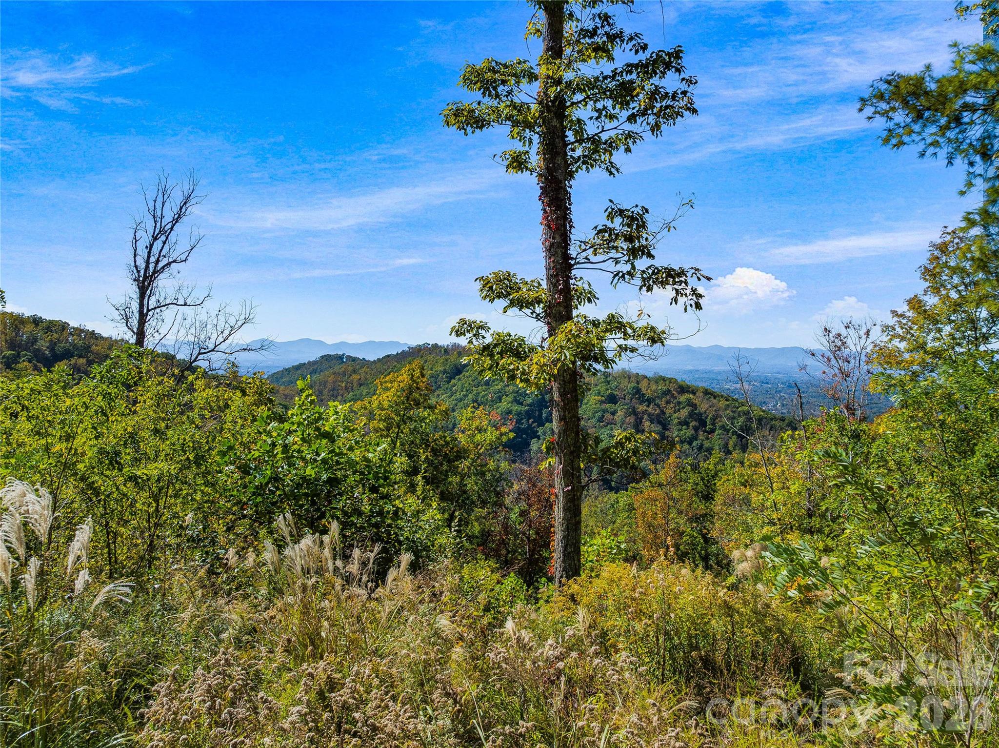 Southern view options from the top - 41 Lovin Road, Weaverville