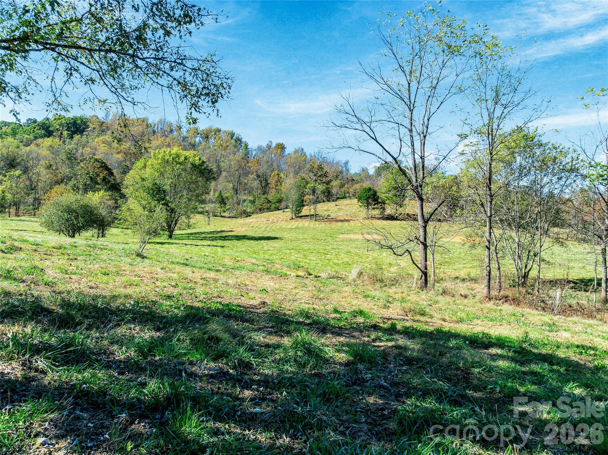 easy rolling acres of enjoyment - 41 Lovin Road, Weaverville