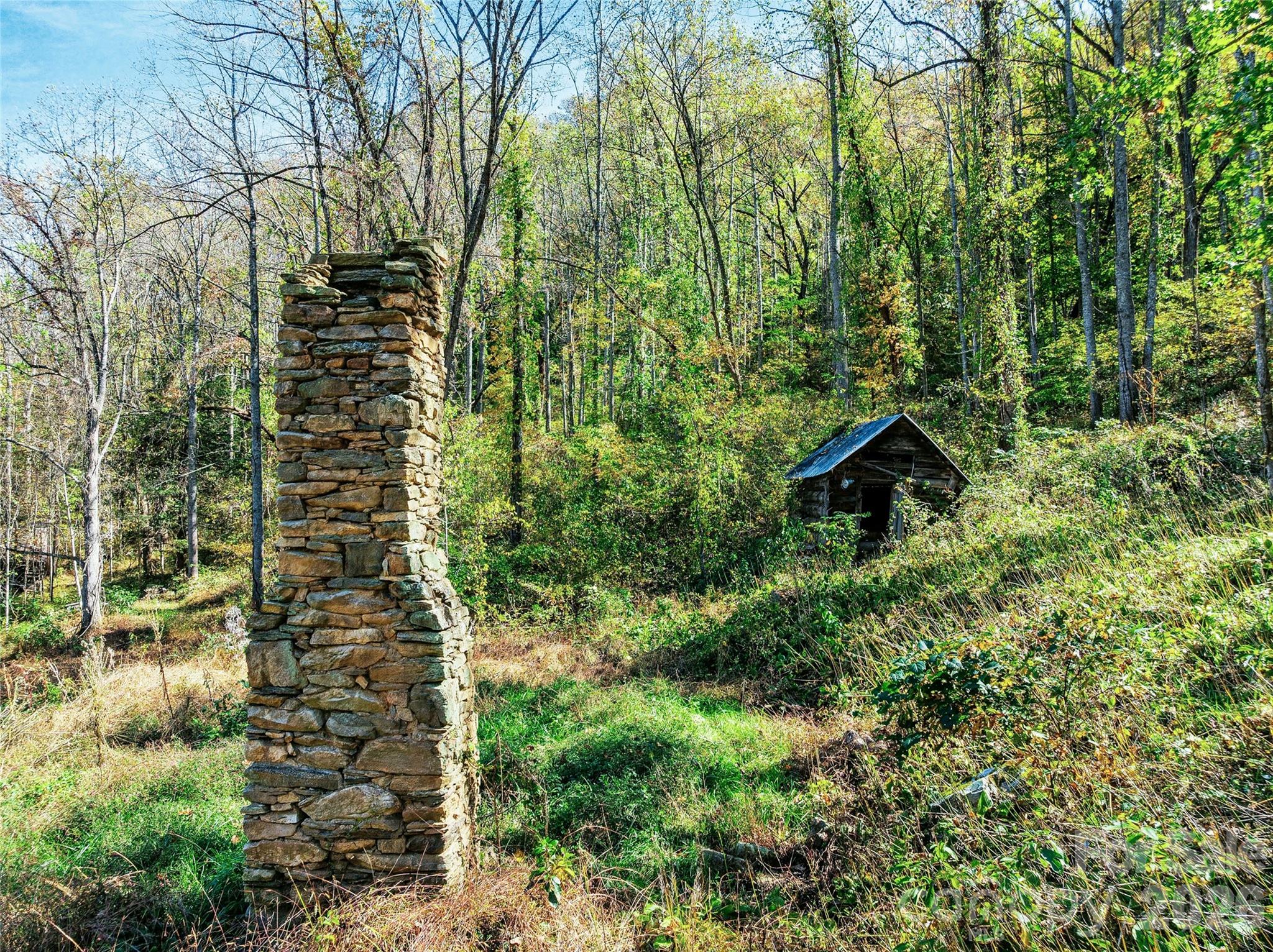 Old homestead in cove 4 lends to memories of a century of farming - 41 Lovin Road, Weaverville