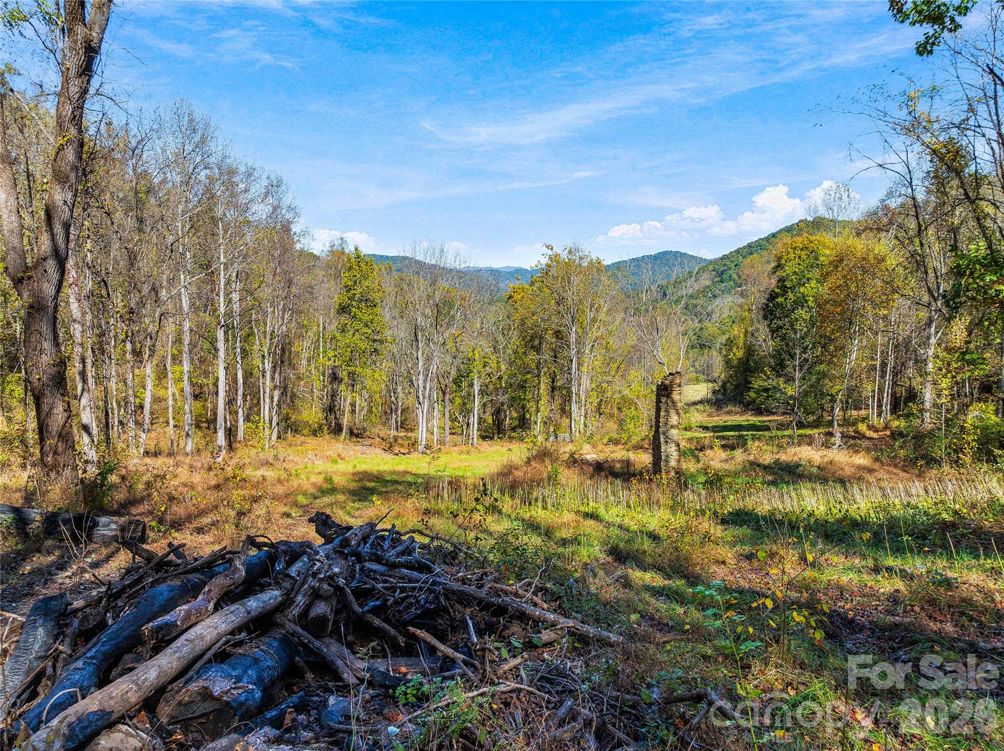 owner has cleared additional fields and brought back the property vision for easy access - 41 Lovin Road, Weaverville