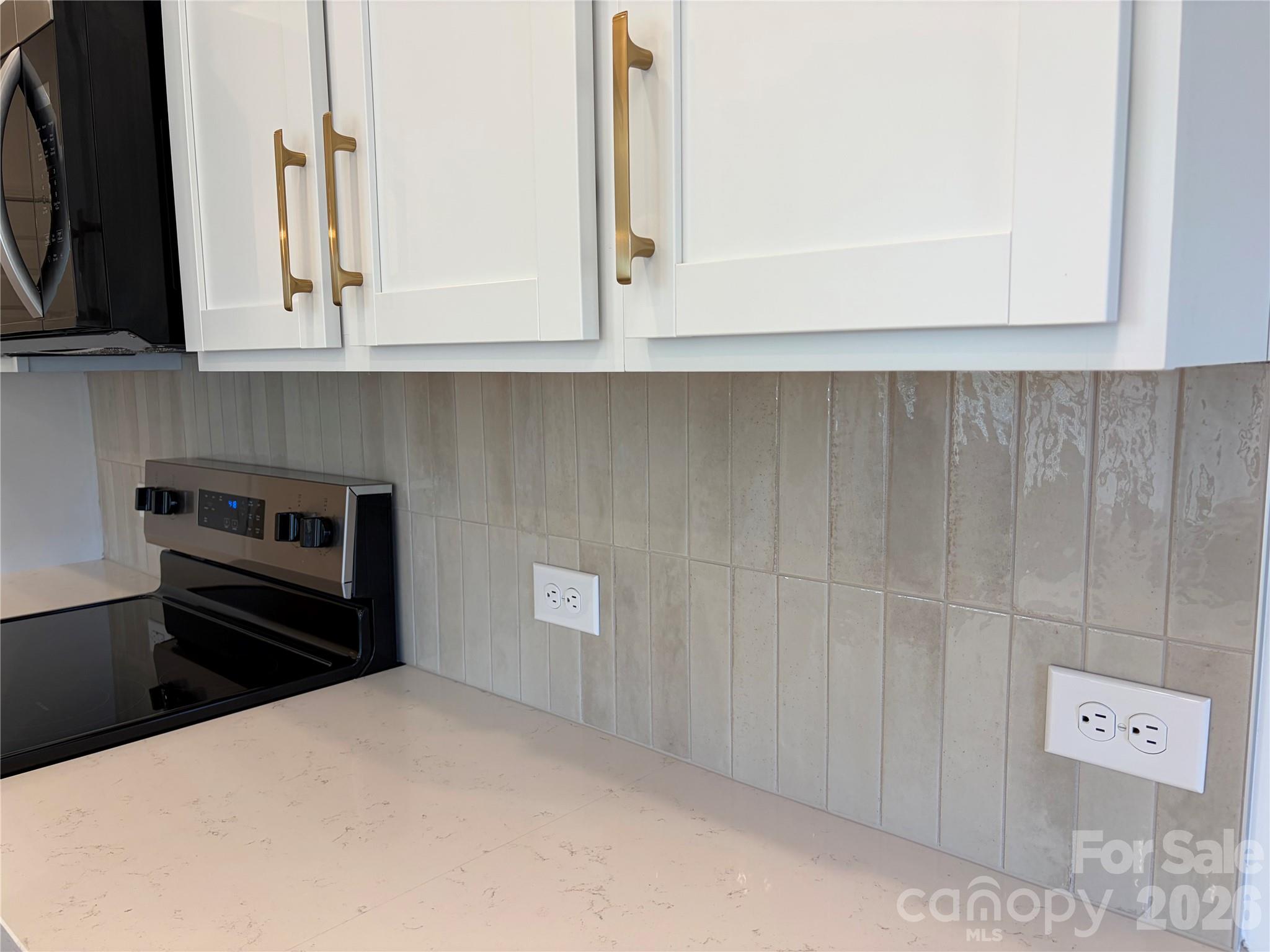 Townhouse at 133 Aronia Lane, Mooresville, photo 6 of 23