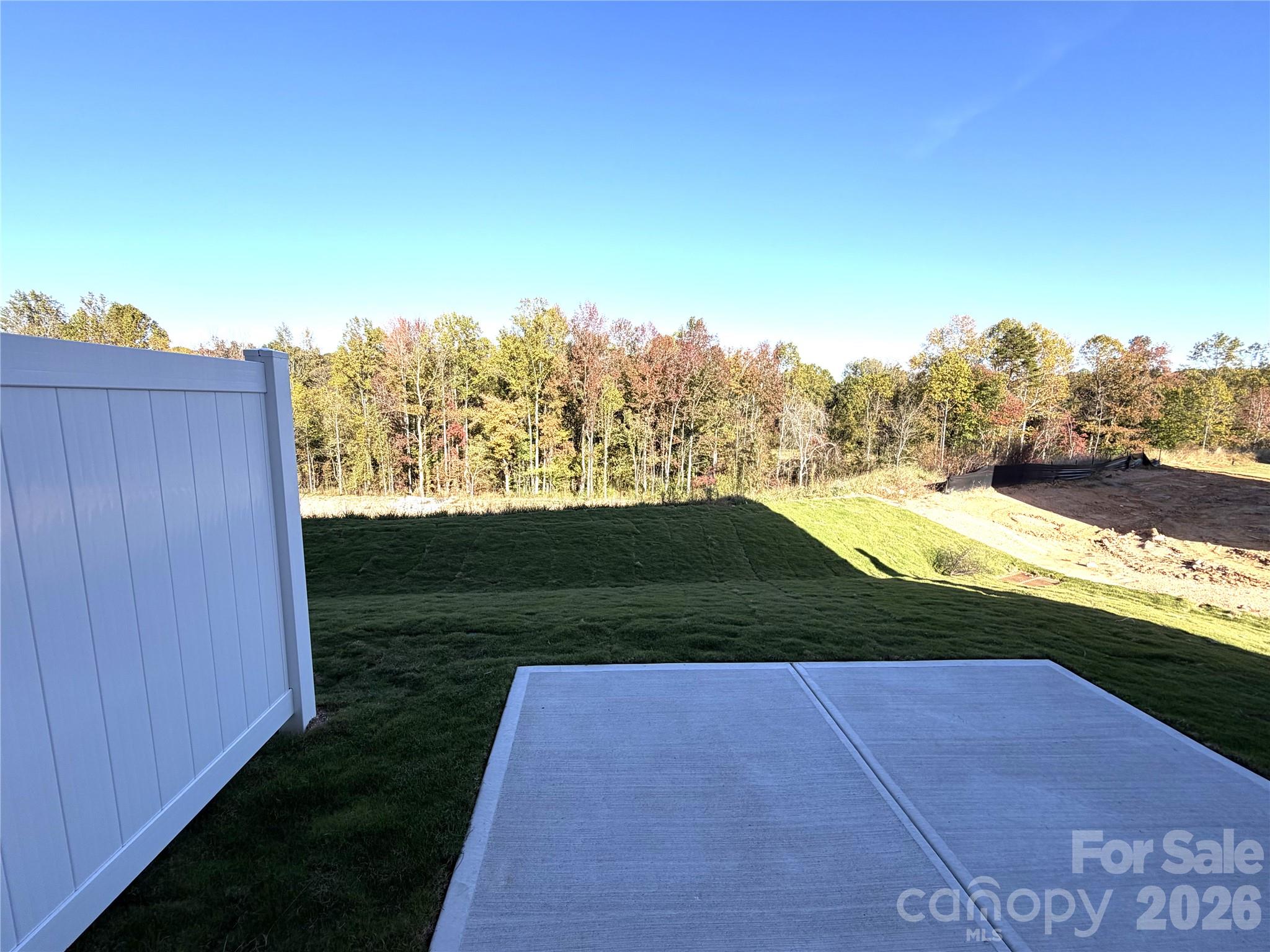 Townhouse at 133 Aronia Lane, Mooresville, photo 21 of 23