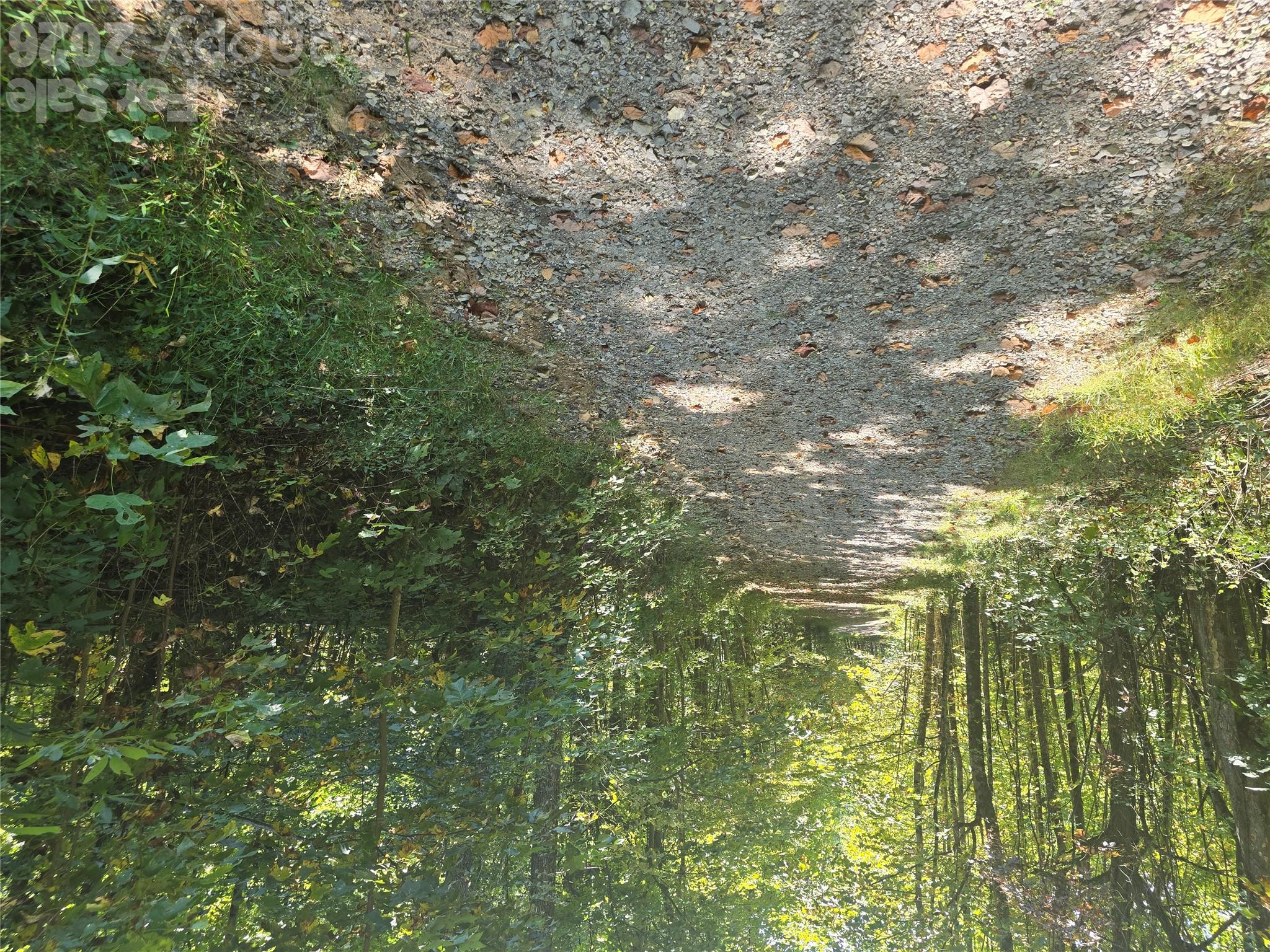 99999 Fawns Rest Trail