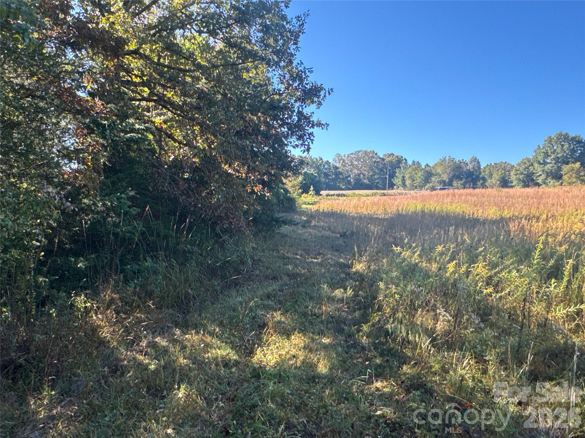Acreage at 3515 Campfield Church Road, Shelby, photo 8 of 48