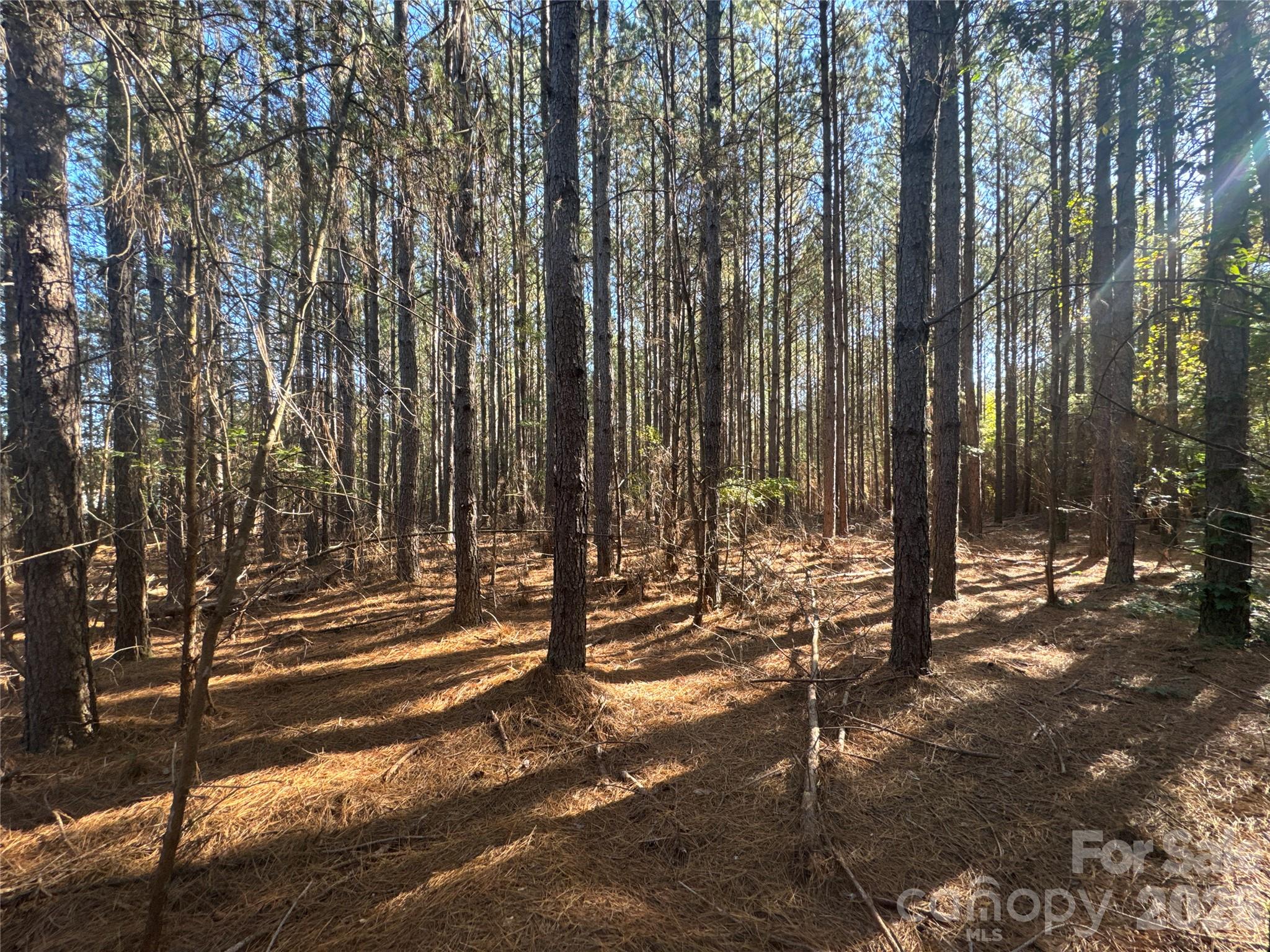 Acreage at 3515 Campfield Church Road, Shelby, photo 9 of 48