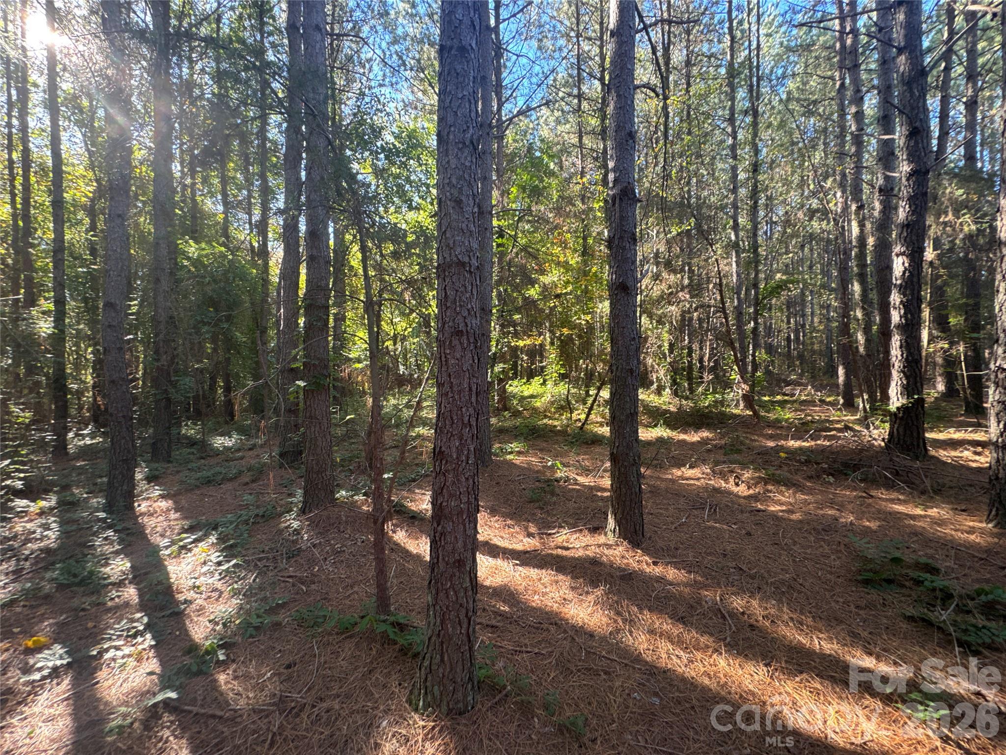 Acreage at 3515 Campfield Church Road, Shelby, photo 10 of 48
