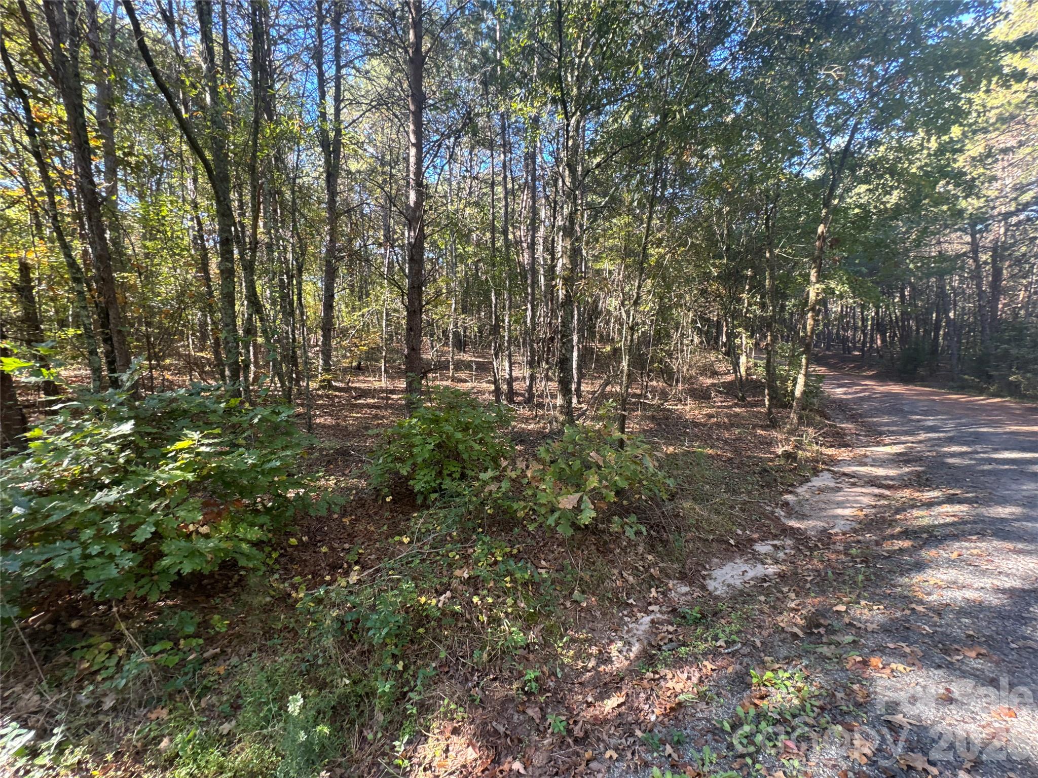 Acreage at 3515 Campfield Church Road, Shelby, photo 15 of 48