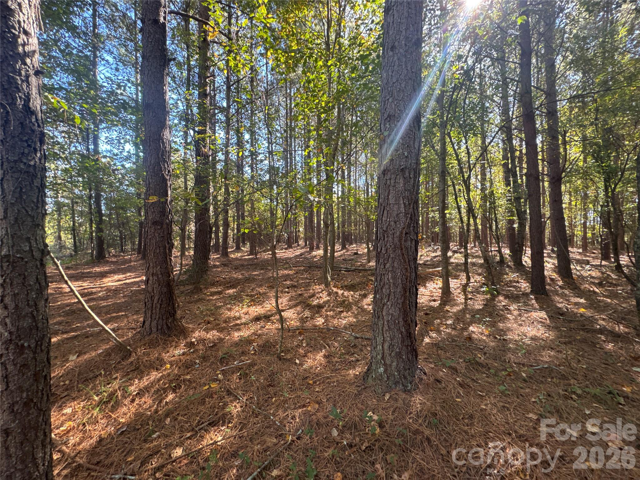 Acreage at 3515 Campfield Church Road, Shelby, photo 17 of 48