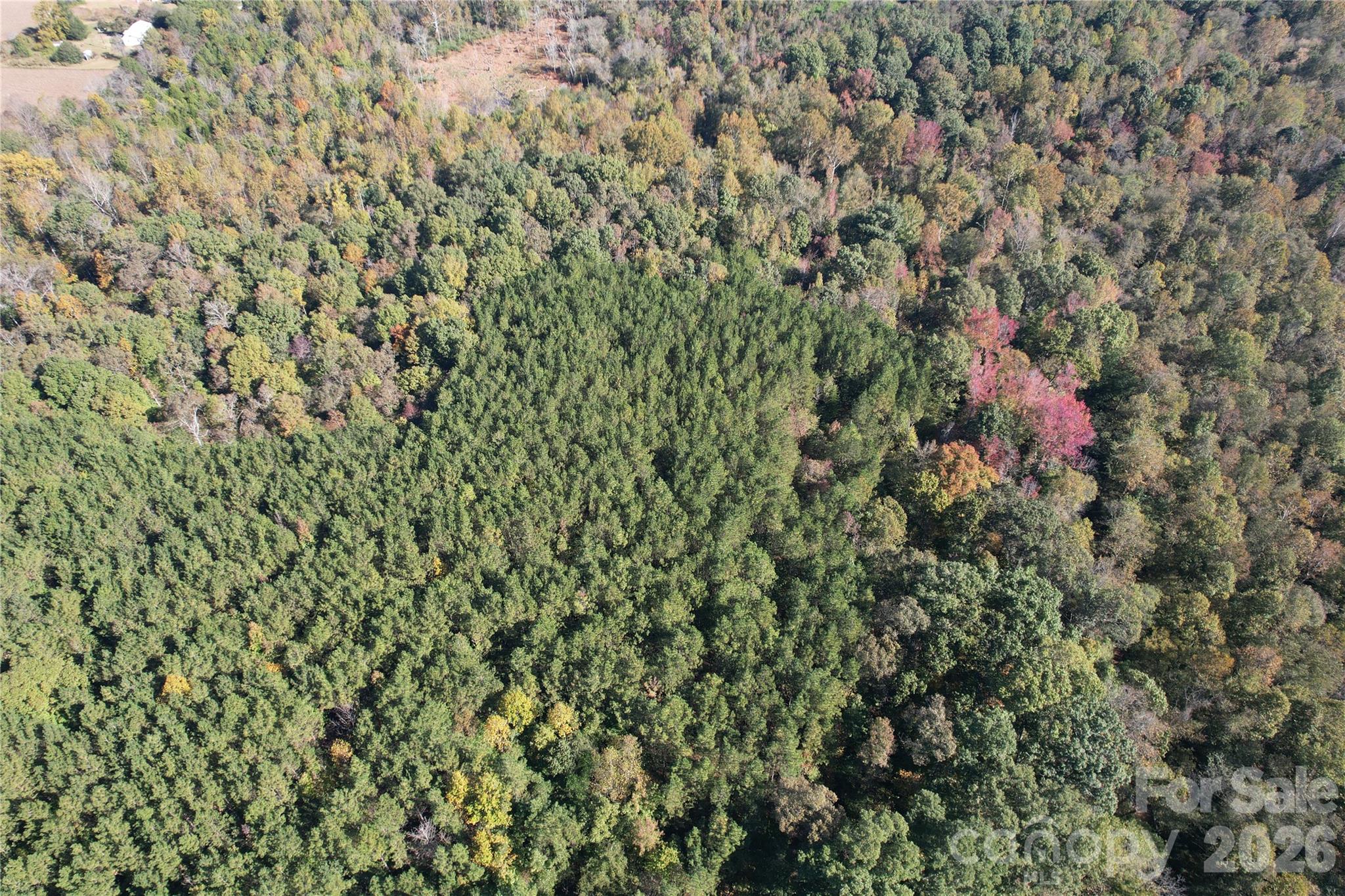 Acreage at 3515 Campfield Church Road, Shelby, photo 19 of 48