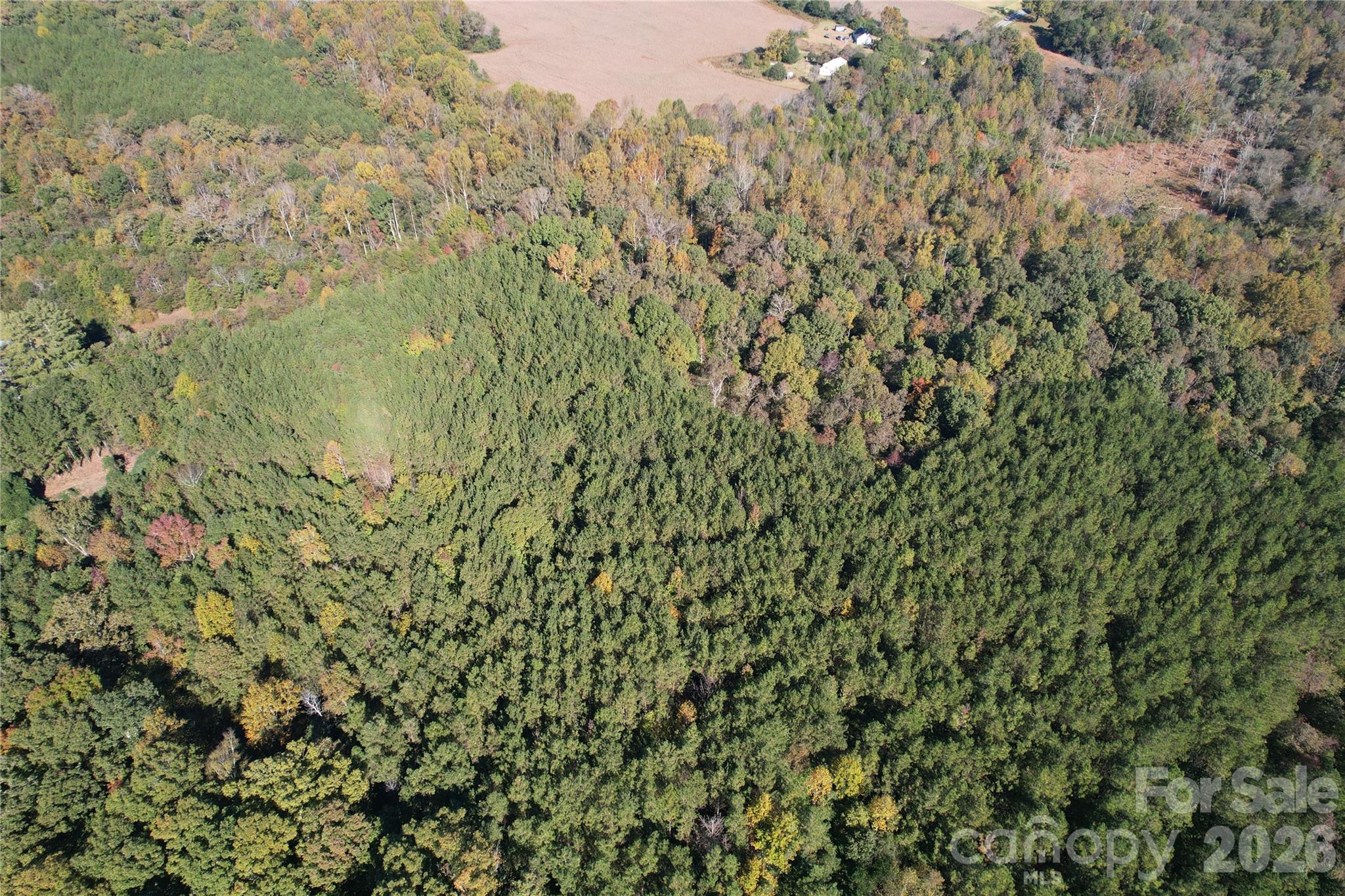 Acreage at 3515 Campfield Church Road, Shelby, photo 20 of 48