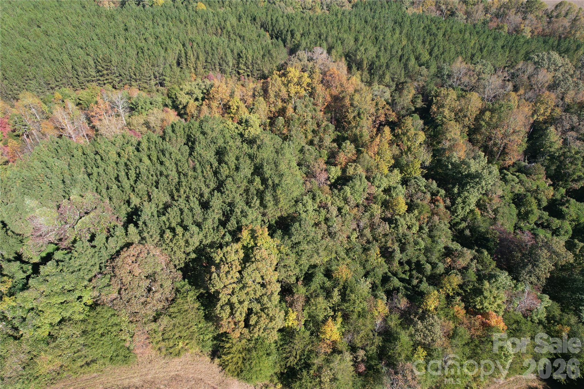 Acreage at 3515 Campfield Church Road, Shelby, photo 41 of 48