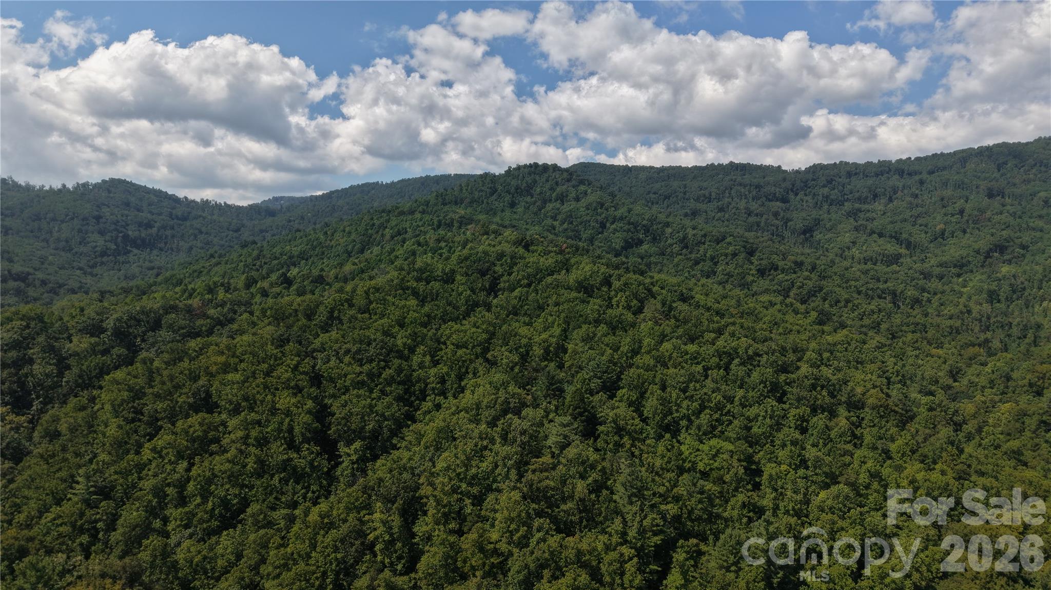 Lot at 0 Old Yellow Mountain Drive, Marion, photo 7 of 9