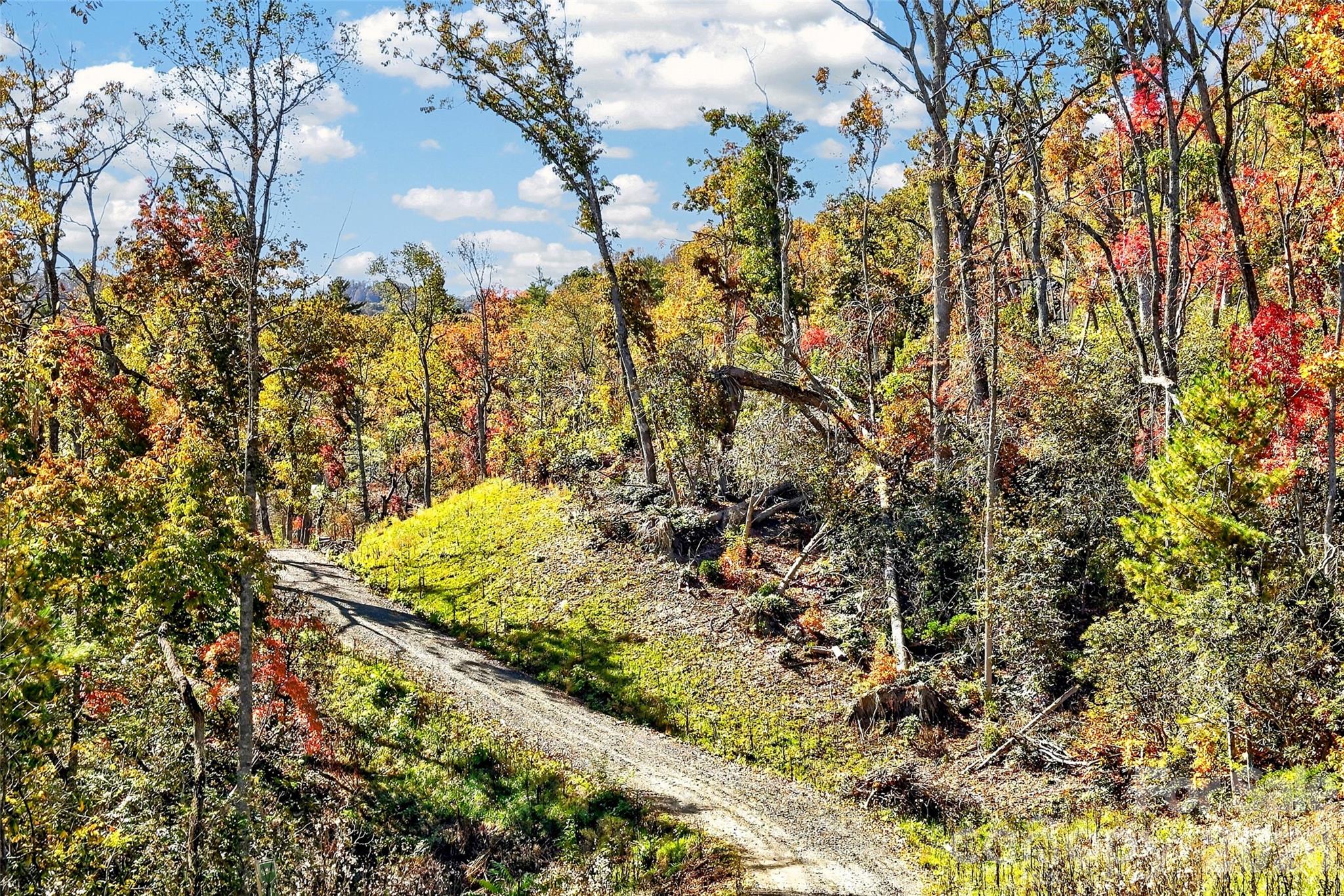 Lot at TBD Swiss Pine Lake Drive, Spruce Pine, photo 2 of 30