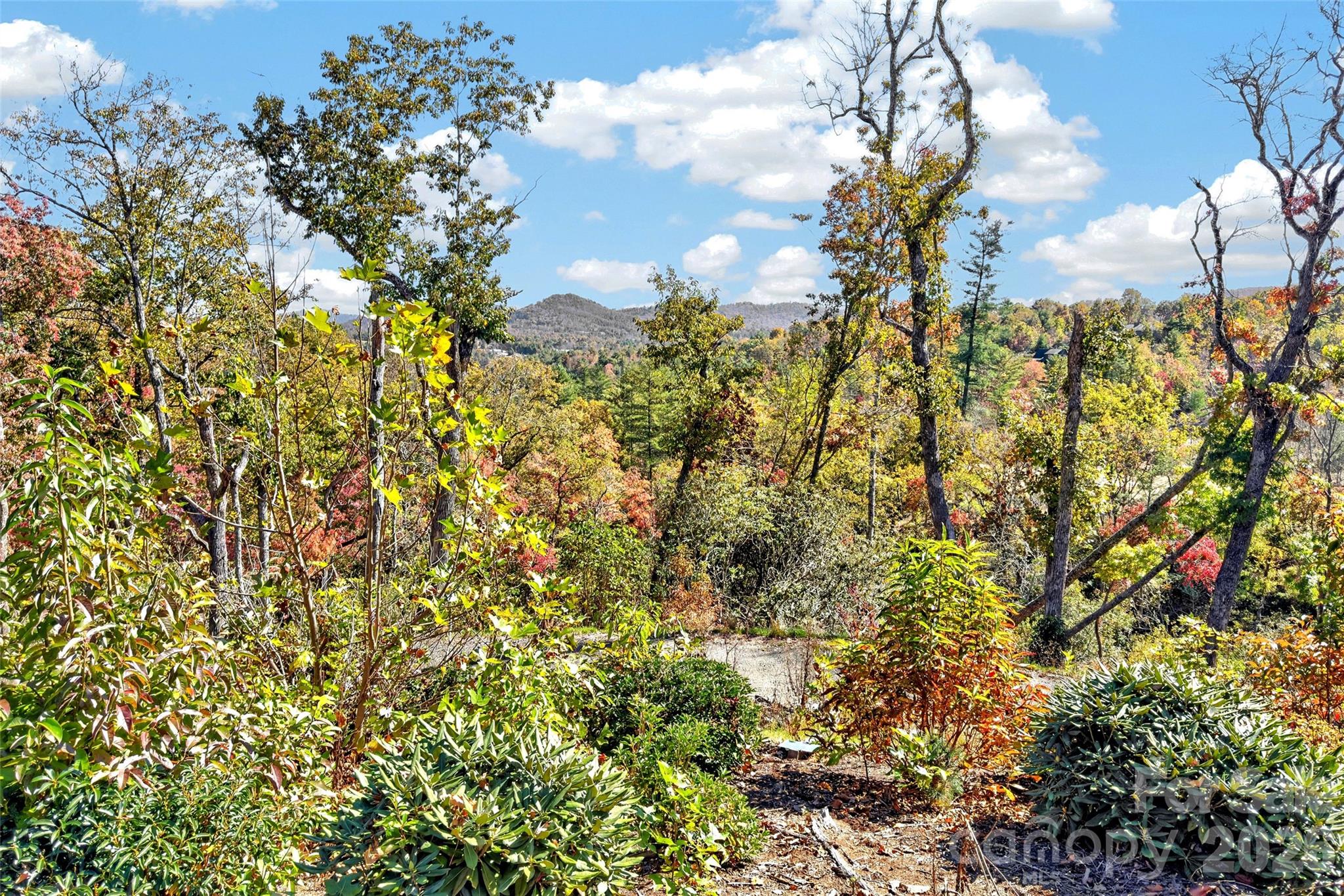 Lot at TBD Swiss Pine Lake Drive, Spruce Pine, photo 6 of 30