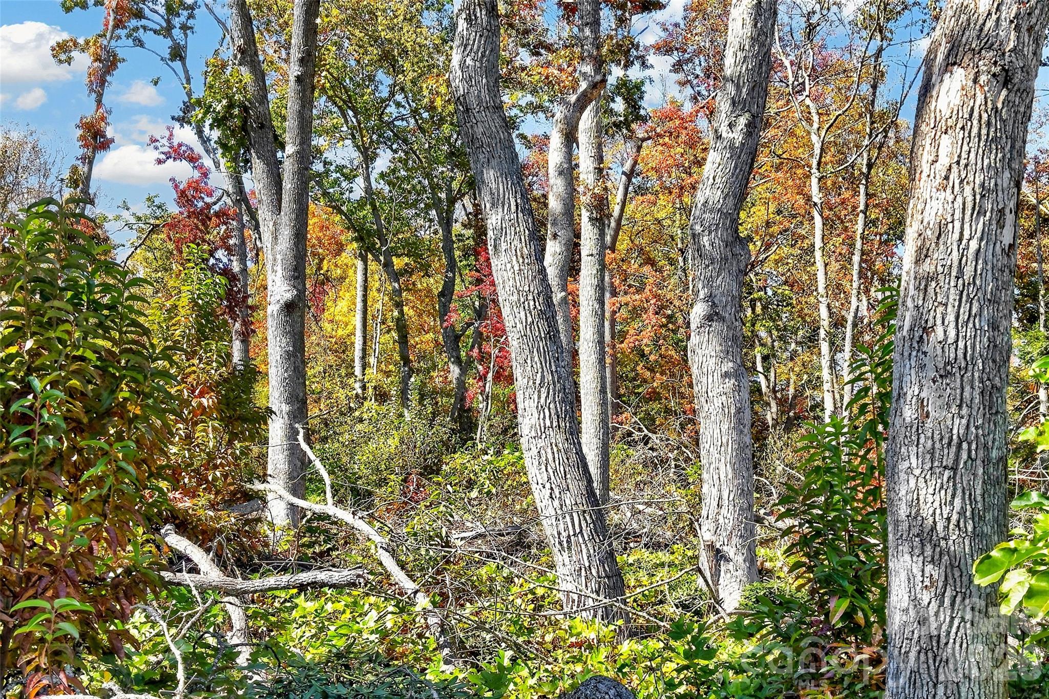 Lot at TBD Swiss Pine Lake Drive, Spruce Pine, photo 8 of 30