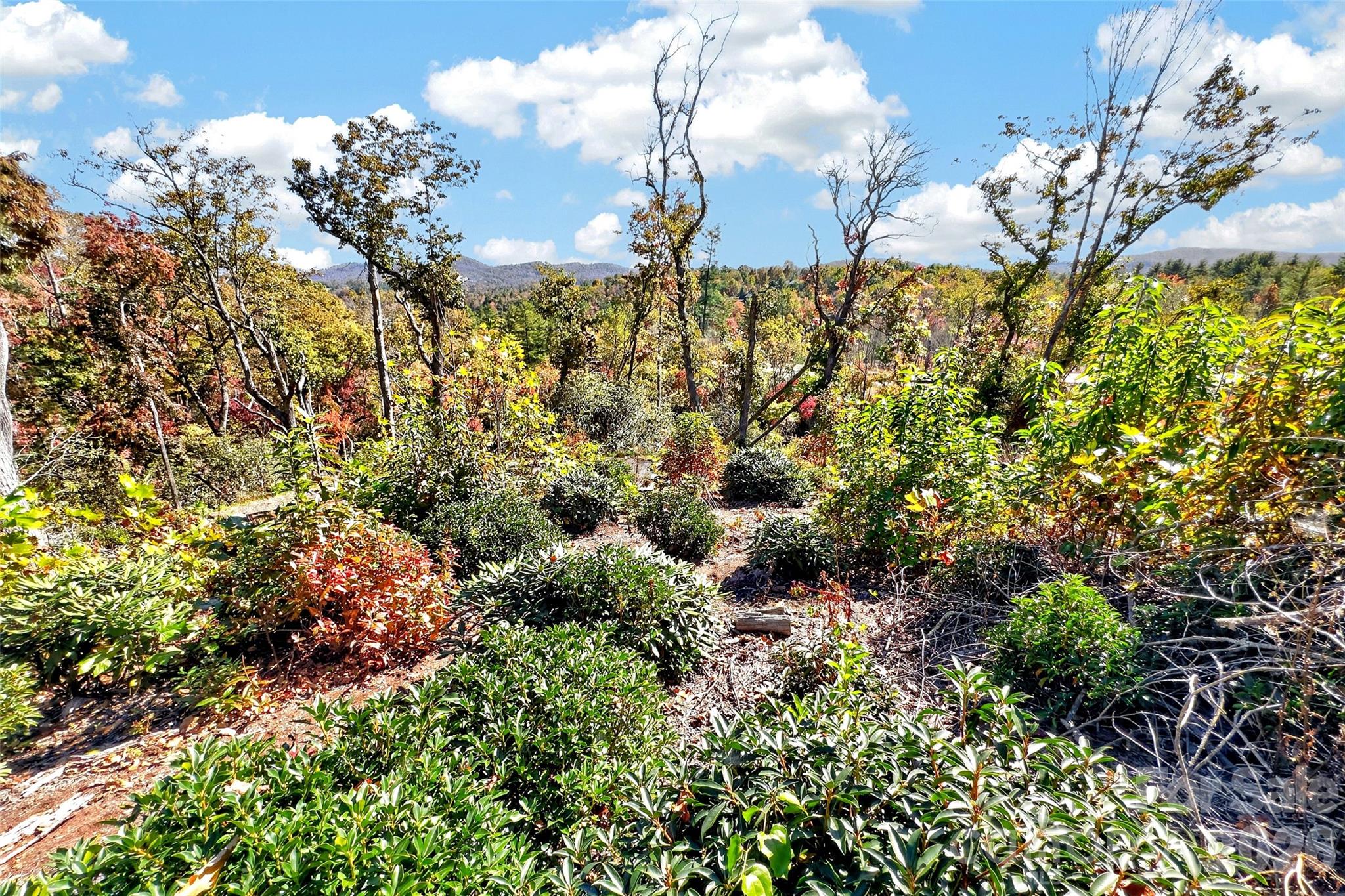 Lot at TBD Swiss Pine Lake Drive, Spruce Pine, photo 10 of 30