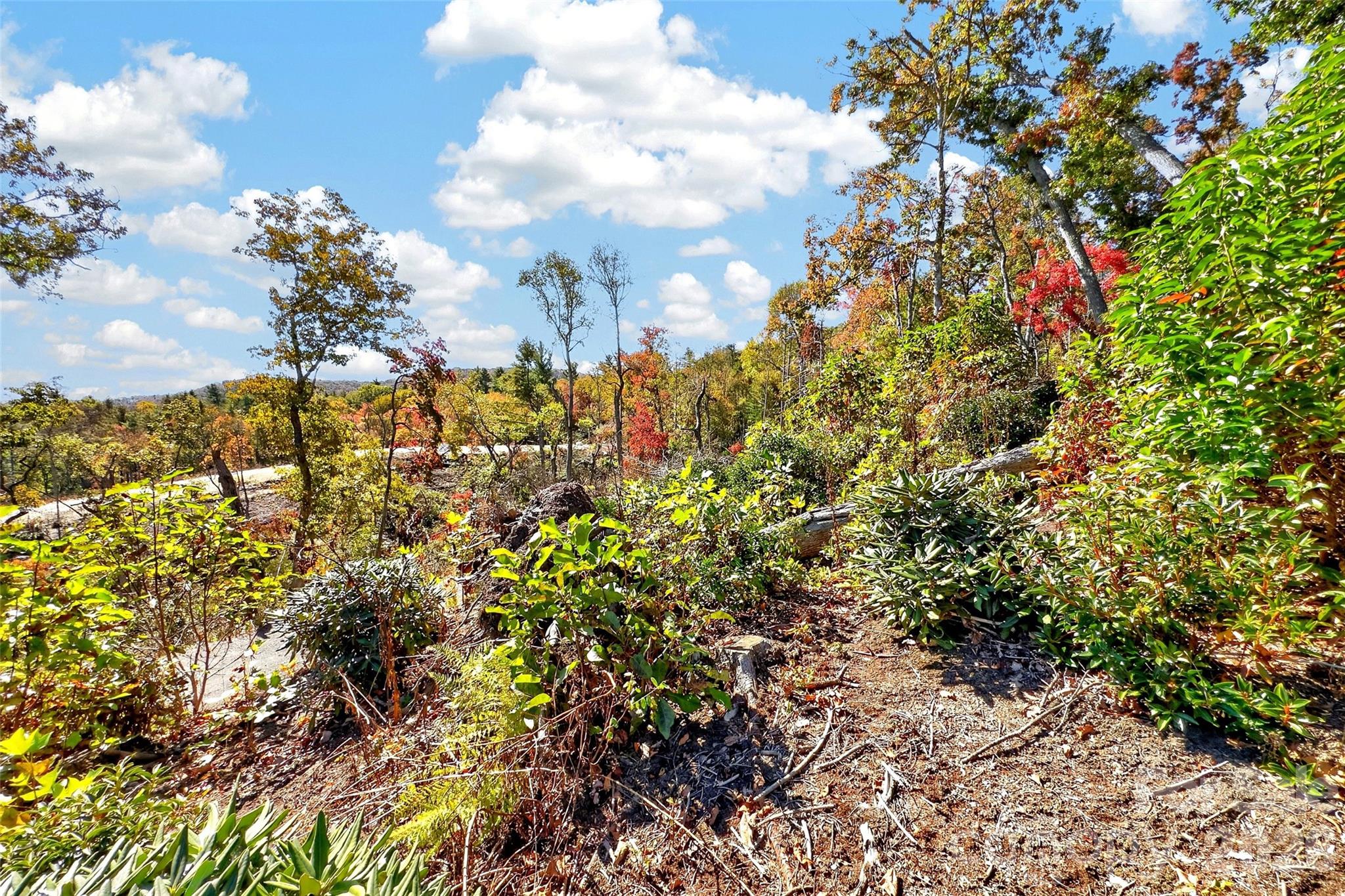 Lot at TBD Swiss Pine Lake Drive, Spruce Pine, photo 12 of 30
