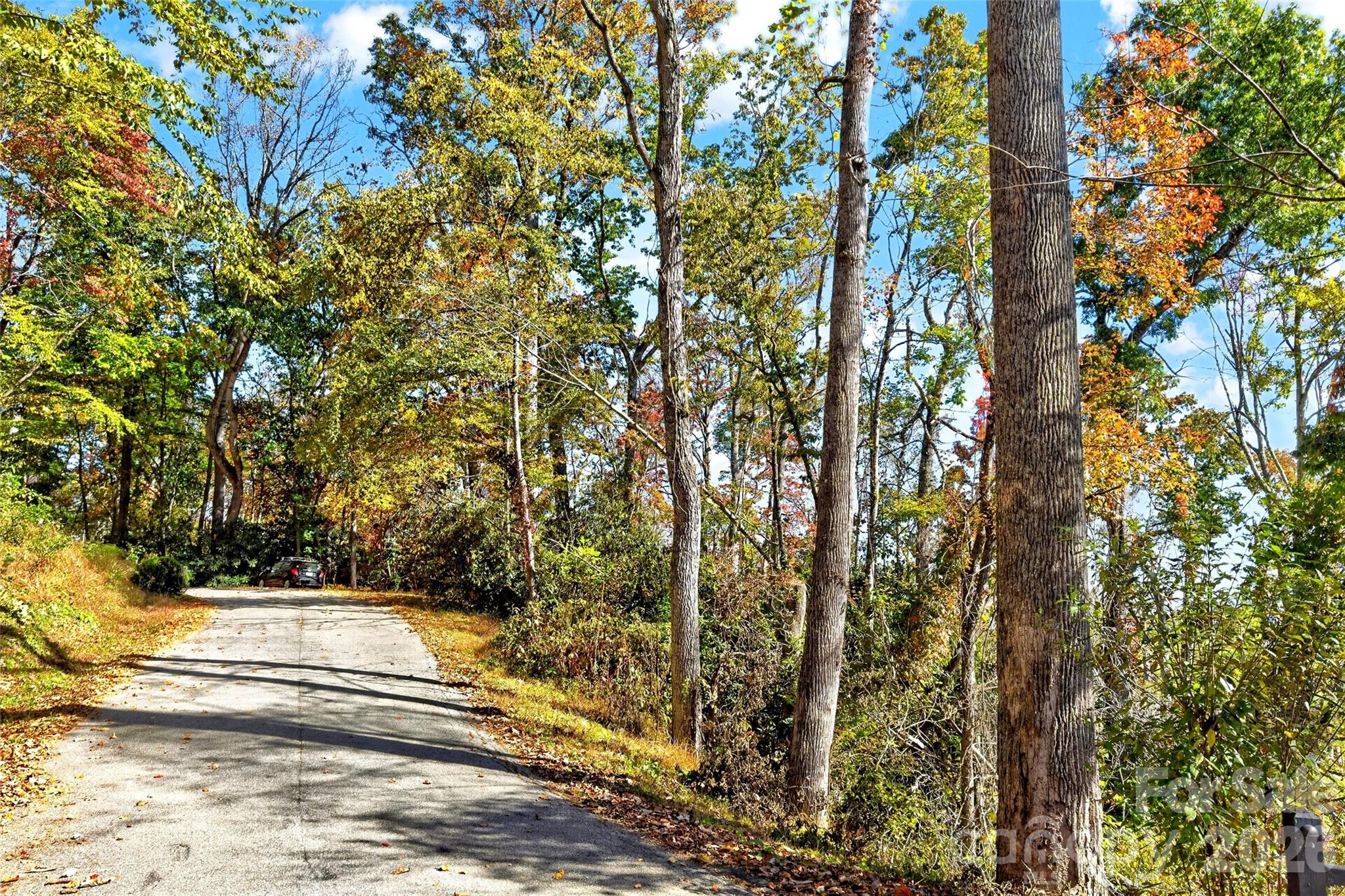 Lot at TBD Swiss Pine Lake Drive, Spruce Pine, photo 14 of 30