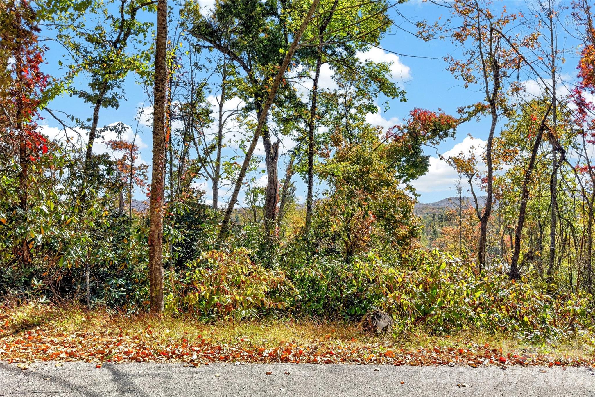 Lot at TBD Swiss Pine Lake Drive, Spruce Pine, photo 16 of 30