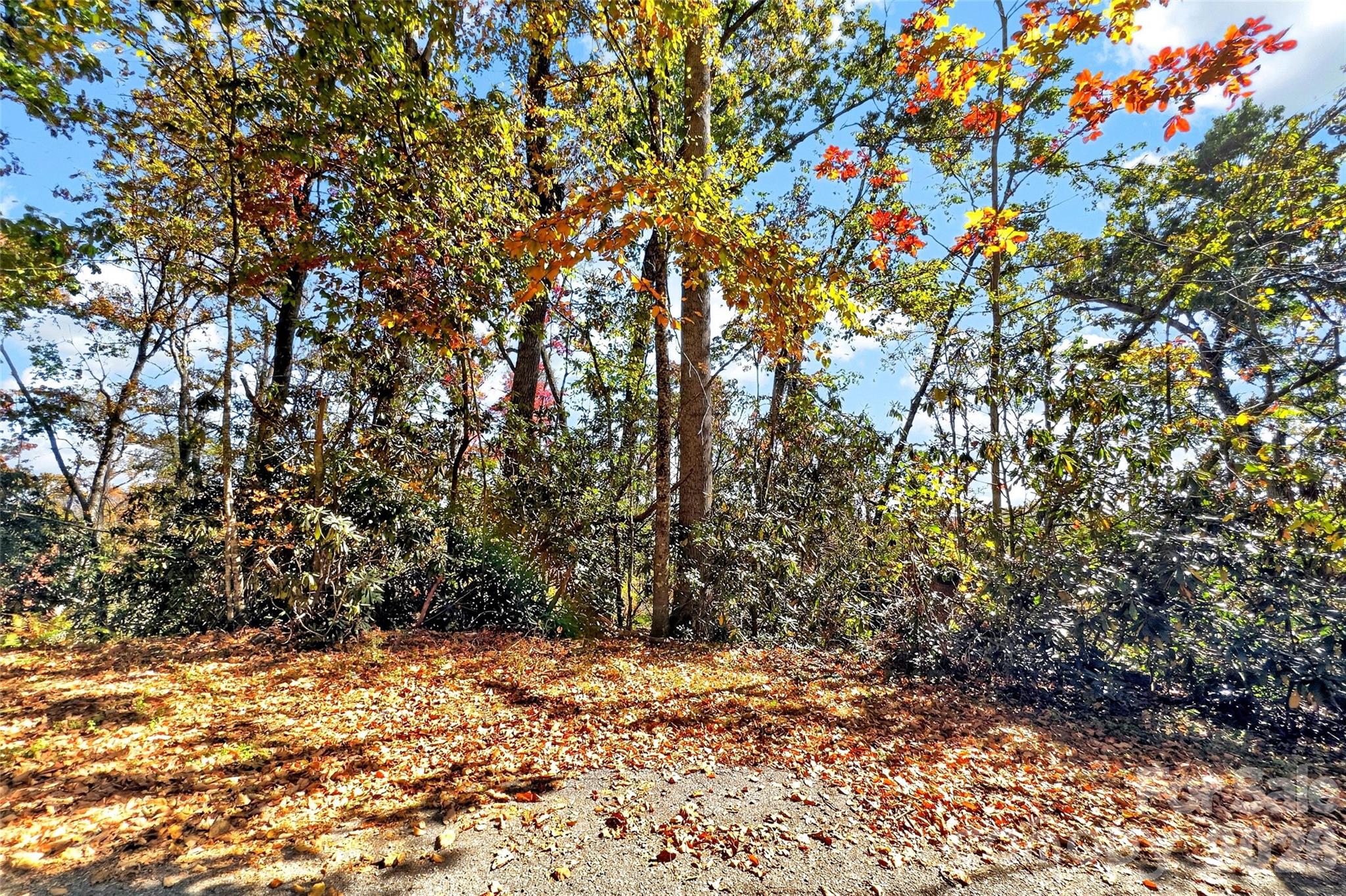 Lot at TBD Swiss Pine Lake Drive, Spruce Pine, photo 18 of 30