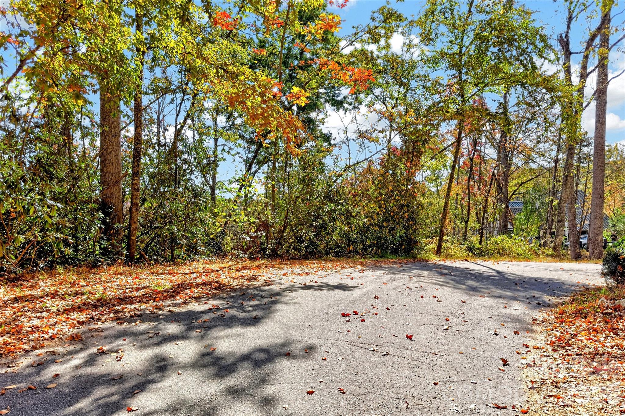 Lot at TBD Swiss Pine Lake Drive, Spruce Pine, photo 19 of 30