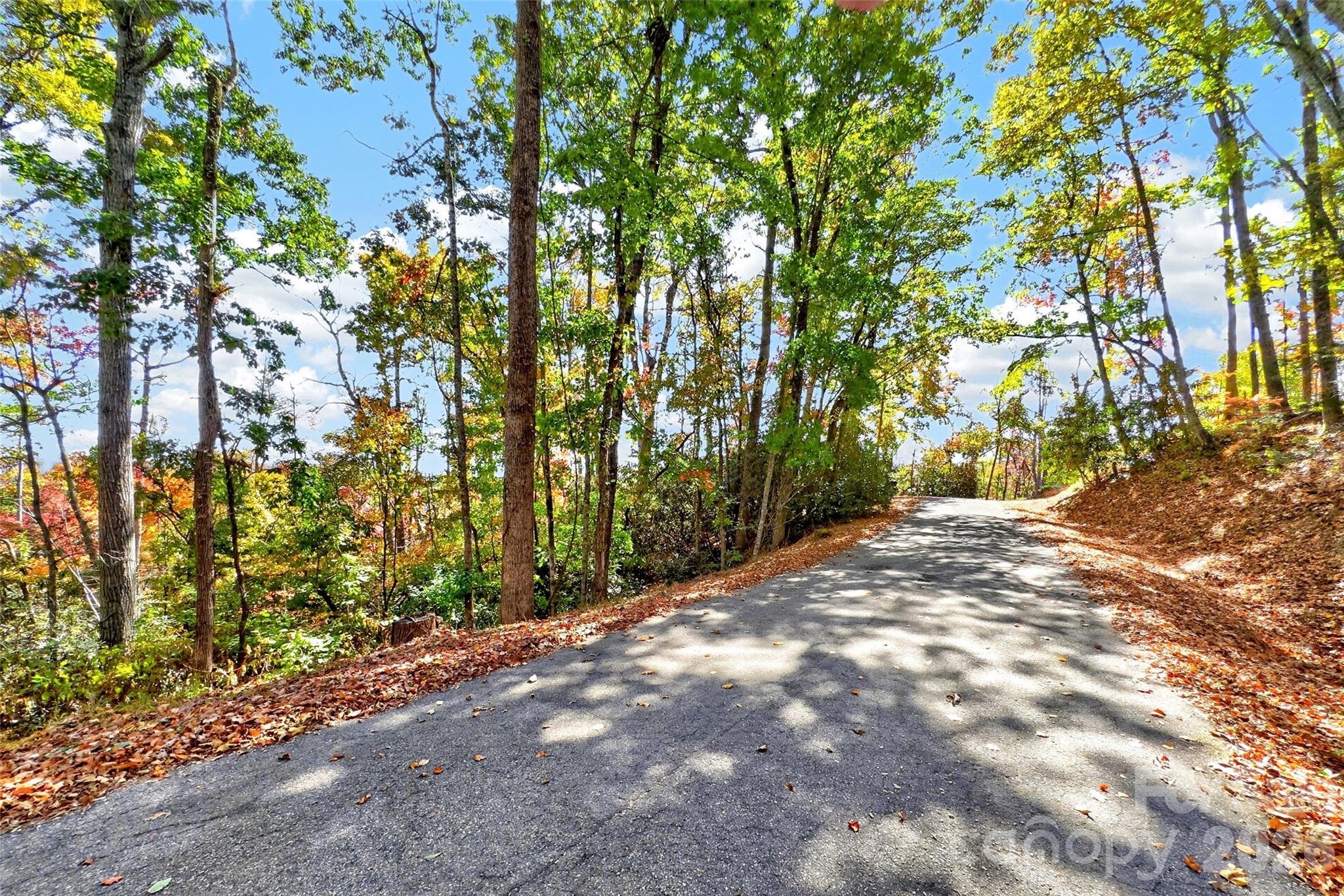 Lot at TBD Swiss Pine Lake Drive, Spruce Pine, photo 20 of 30