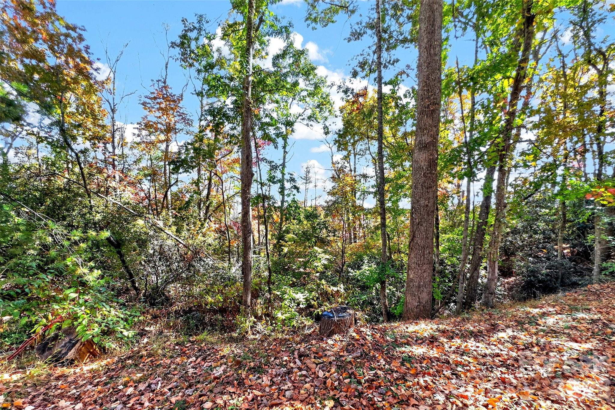 Lot at TBD Swiss Pine Lake Drive, Spruce Pine, photo 21 of 30
