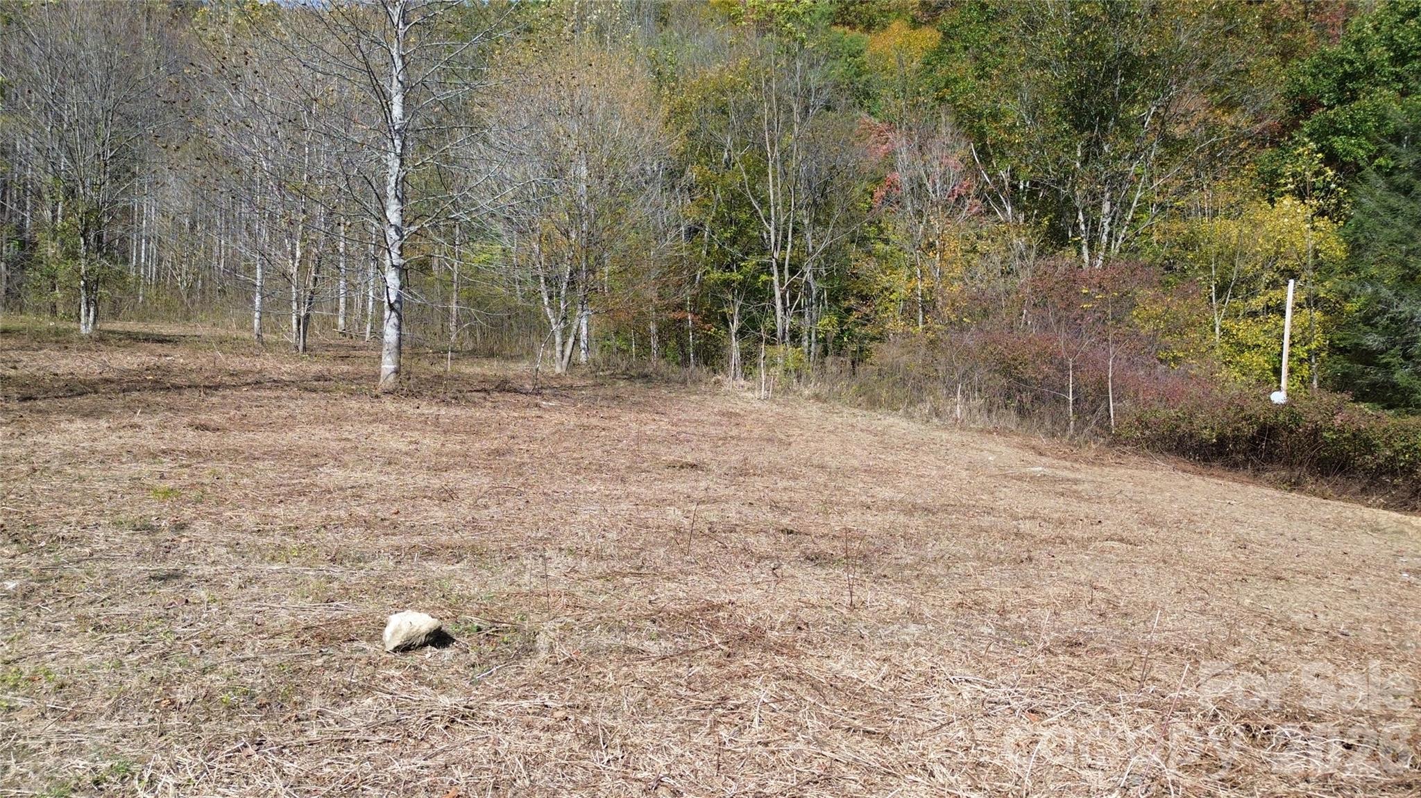 Acreage at 1045 Foster Creek Road, Marshall, photo 9 of 53