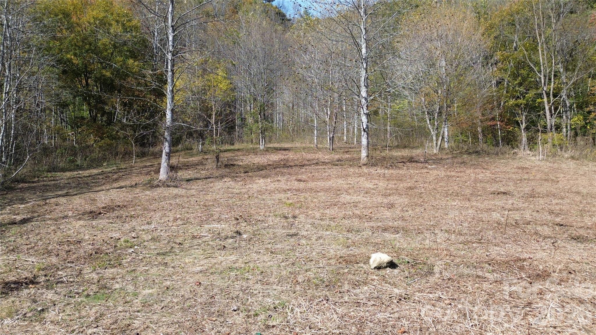 Acreage at 1045 Foster Creek Road, Marshall, photo 11 of 53