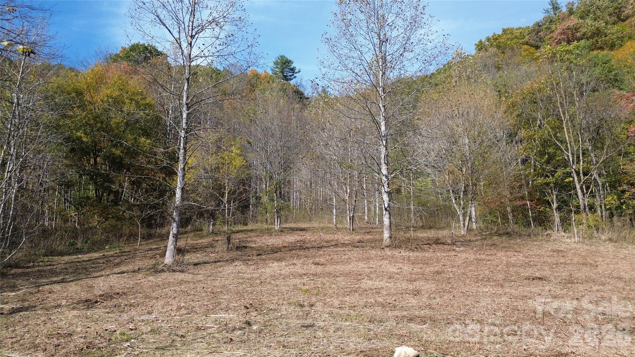 Acreage at 1045 Foster Creek Road, Marshall, photo 13 of 53