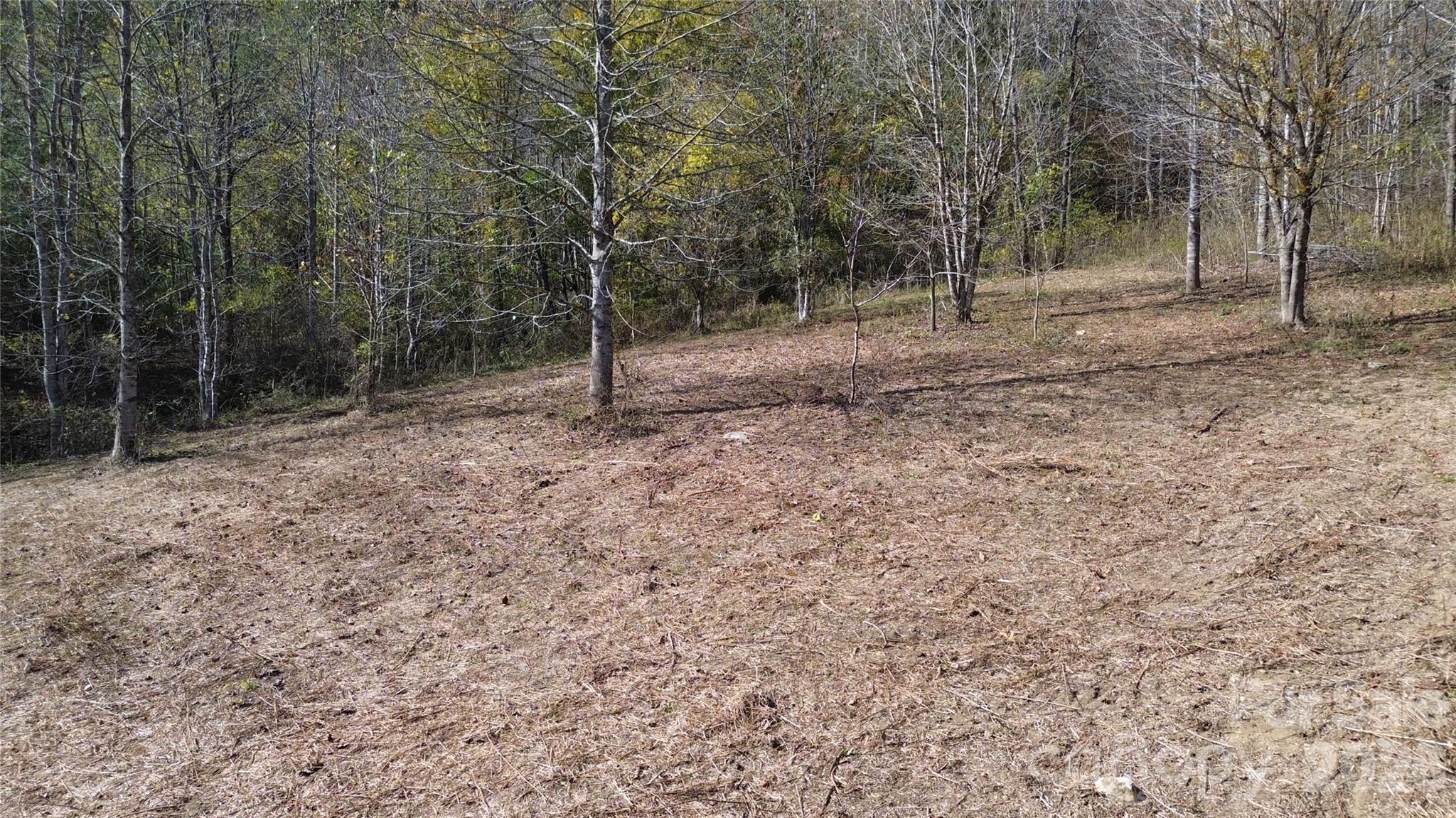 Acreage at 1045 Foster Creek Road, Marshall, photo 17 of 53