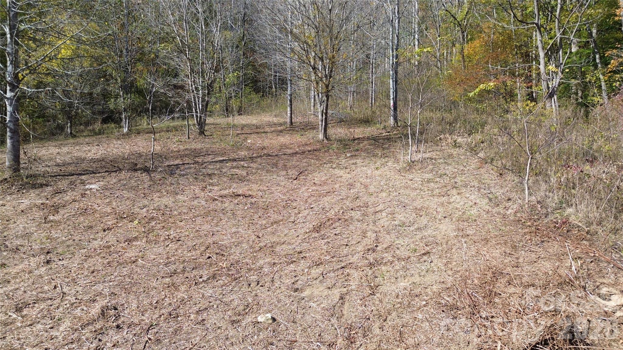 Acreage at 1045 Foster Creek Road, Marshall, photo 19 of 53