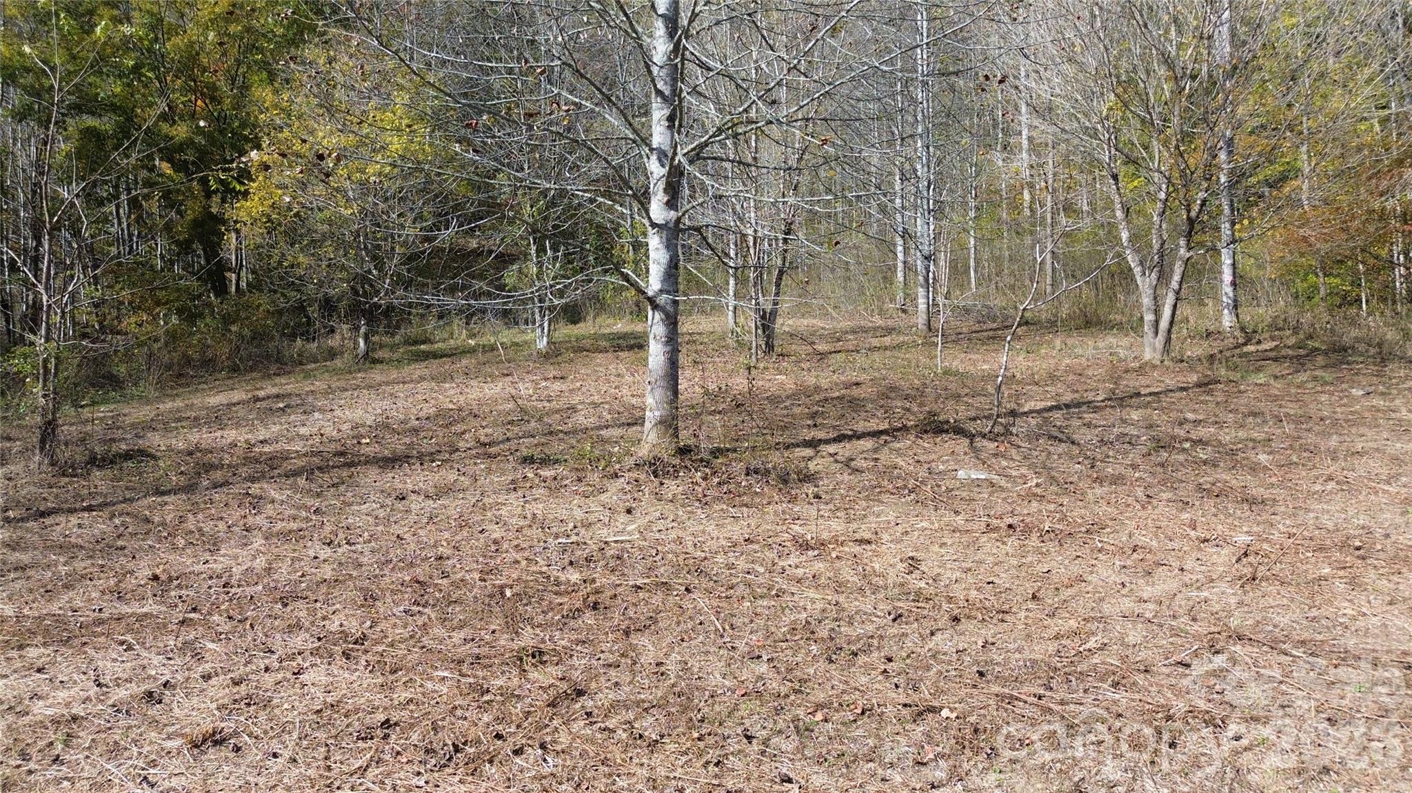 Acreage at 1045 Foster Creek Road, Marshall, photo 40 of 53