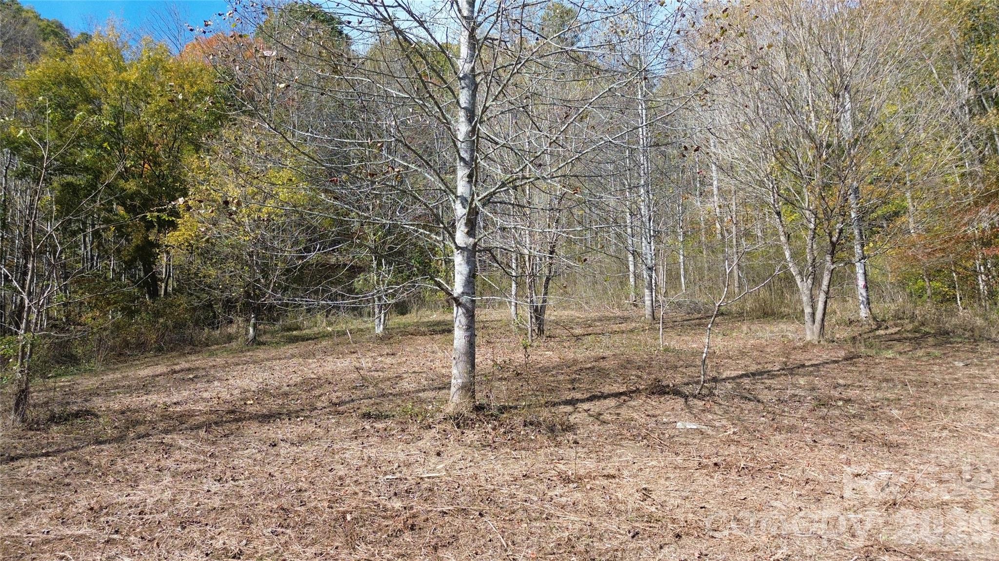 Acreage at 1045 Foster Creek Road, Marshall, photo 41 of 53