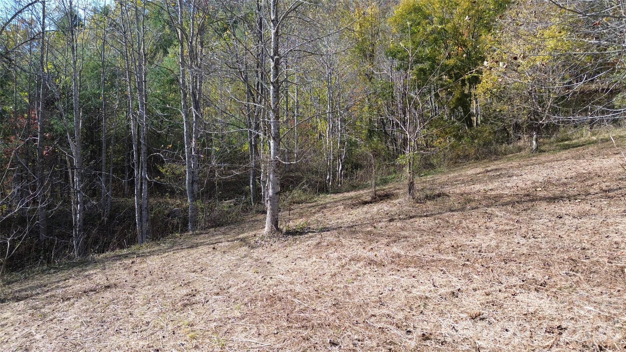 Acreage at 1045 Foster Creek Road, Marshall, photo 42 of 53