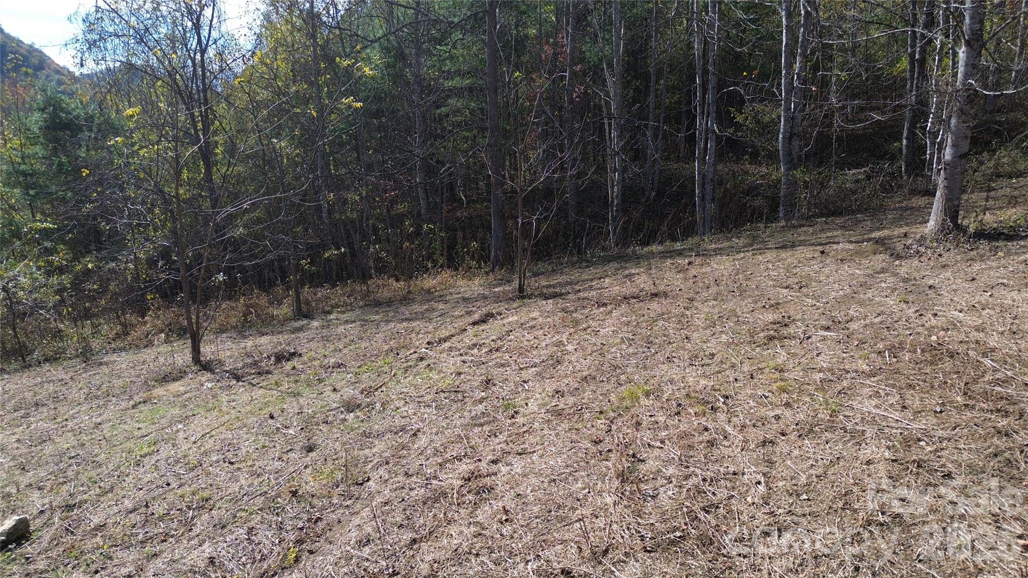 Acreage at 1045 Foster Creek Road, Marshall, photo 43 of 53