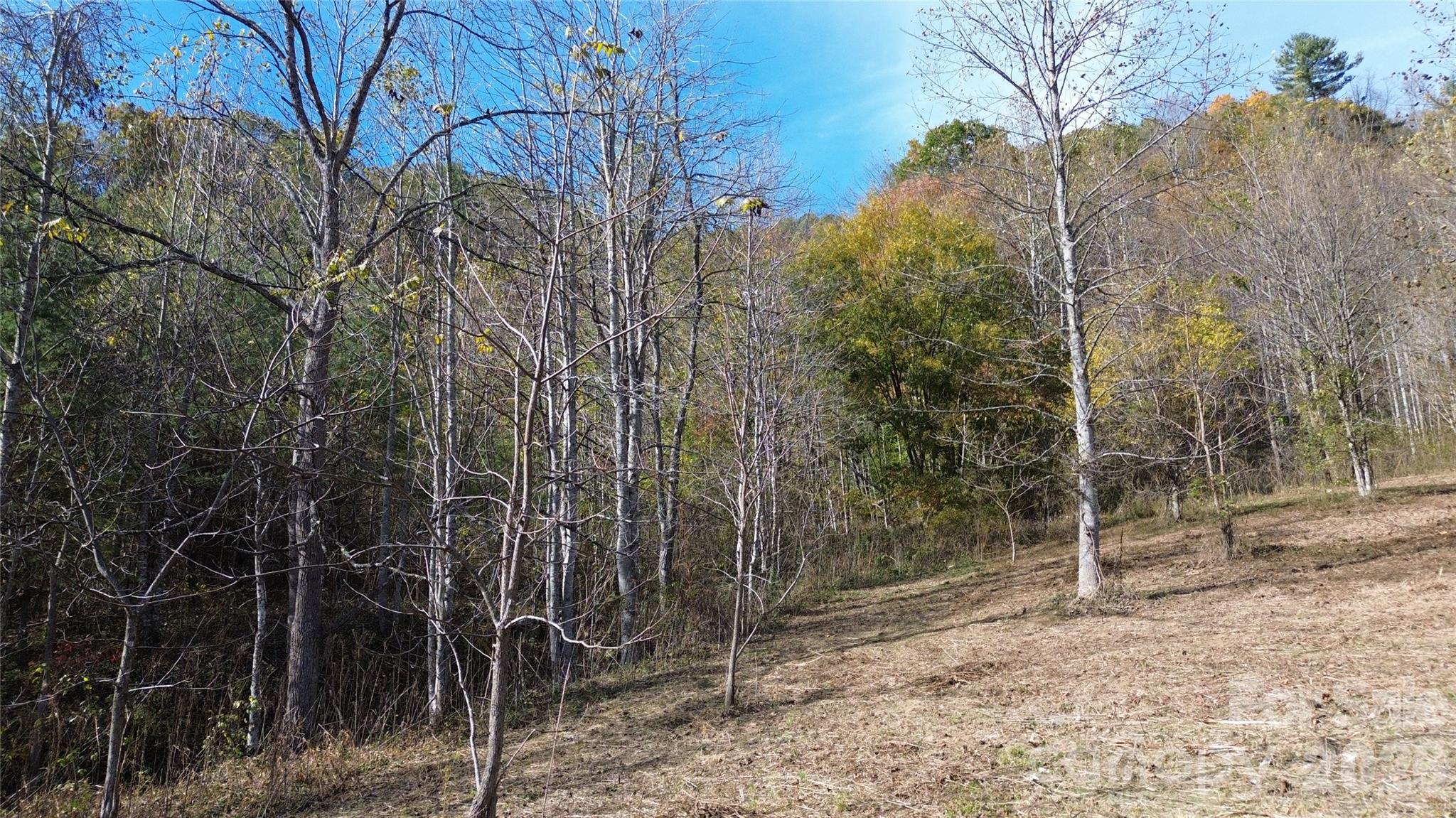 Acreage at 1045 Foster Creek Road, Marshall, photo 47 of 53