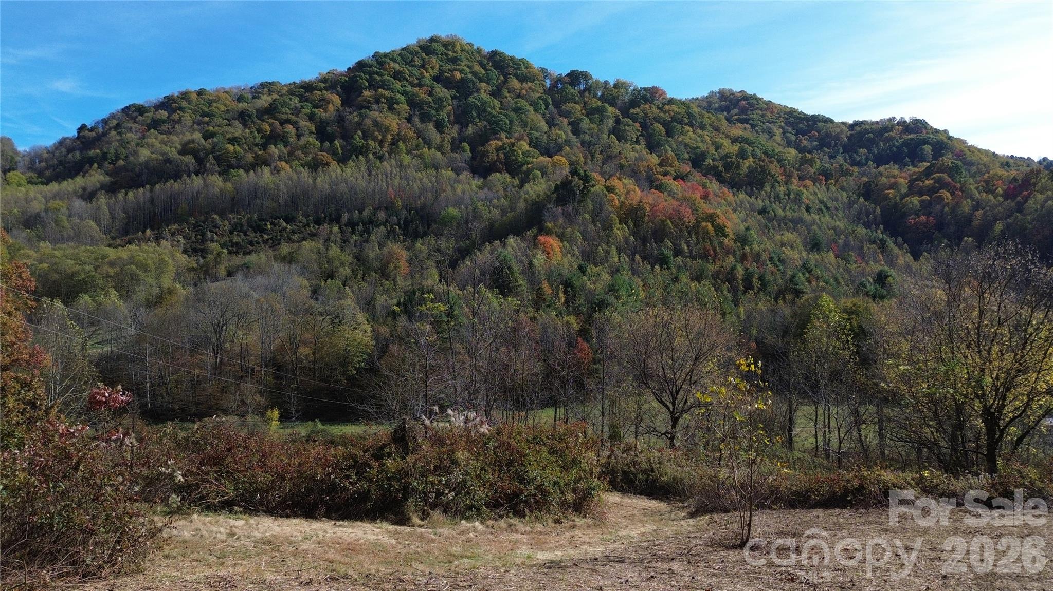Acreage at 1045 Foster Creek Road, Marshall, photo 50 of 53