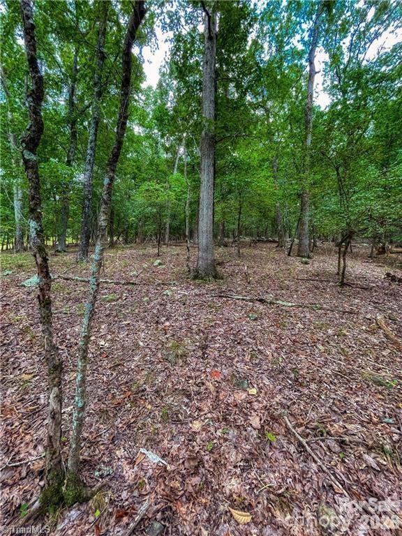 Lot at 0 Rocky Cove Lane, Denton, photo 8 of 31