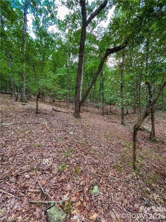 Lot at 0 Rocky Cove Lane, Denton, photo 9 of 31