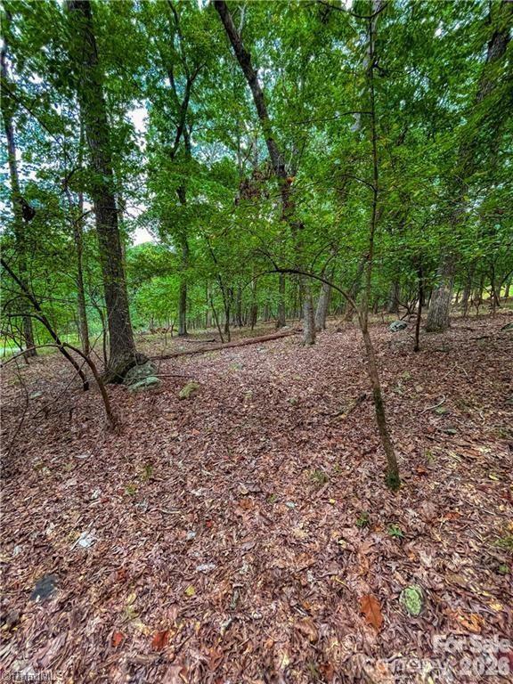 Lot at 0 Rocky Cove Lane, Denton, photo 10 of 31