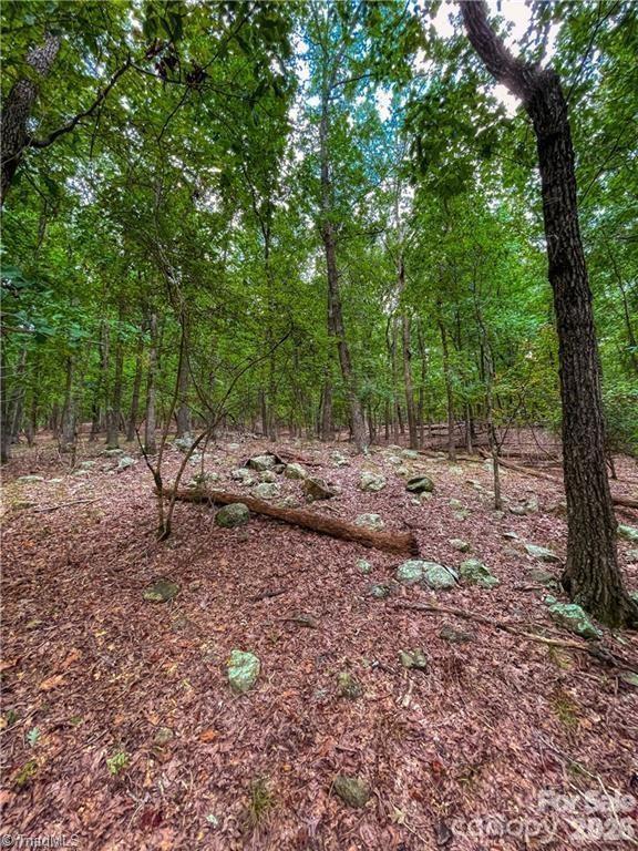 Lot at 0 Rocky Cove Lane, Denton, photo 11 of 31