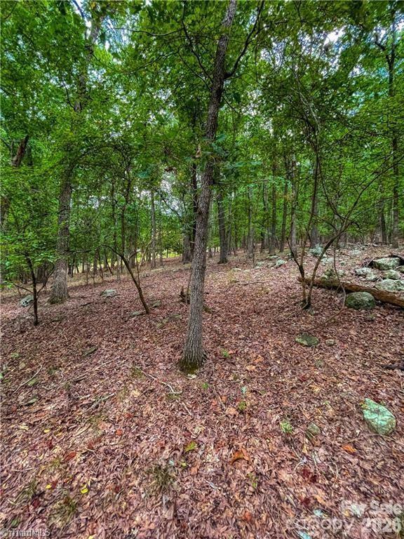 Lot at 0 Rocky Cove Lane, Denton, photo 12 of 31